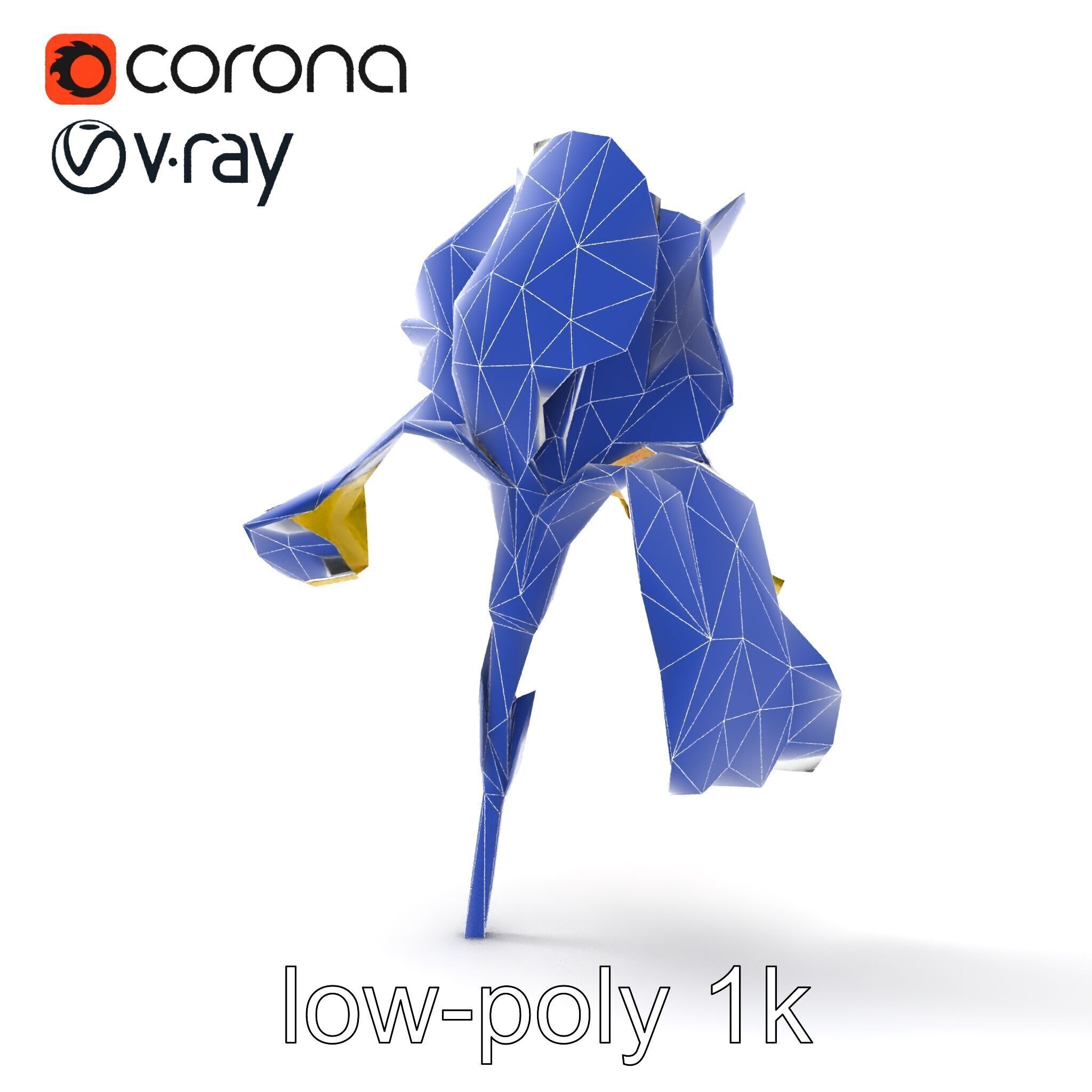 Yellow Iris Flower Model Pack Low-poly 3D model_22