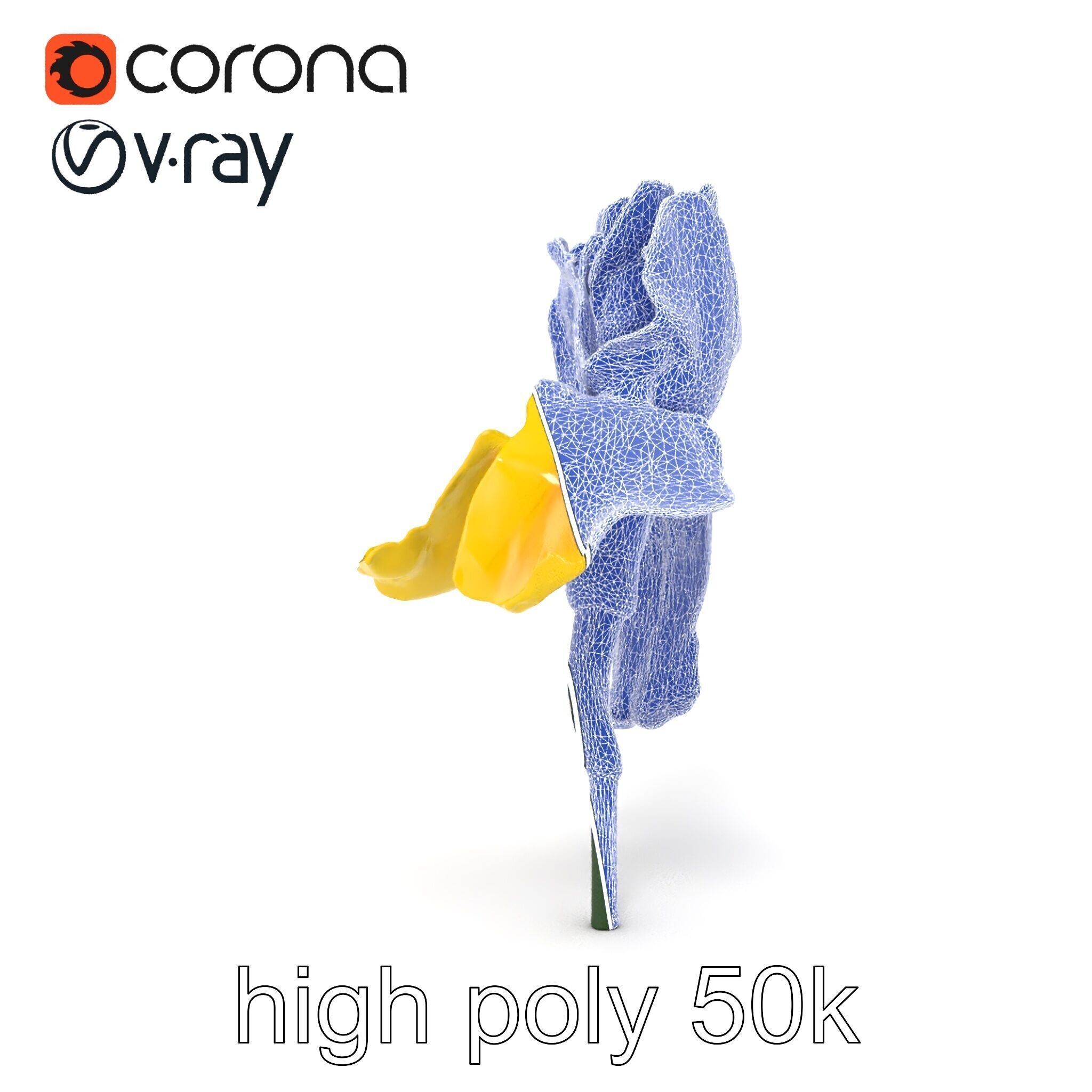Yellow Iris Flower Model Pack Low-poly 3D model_26