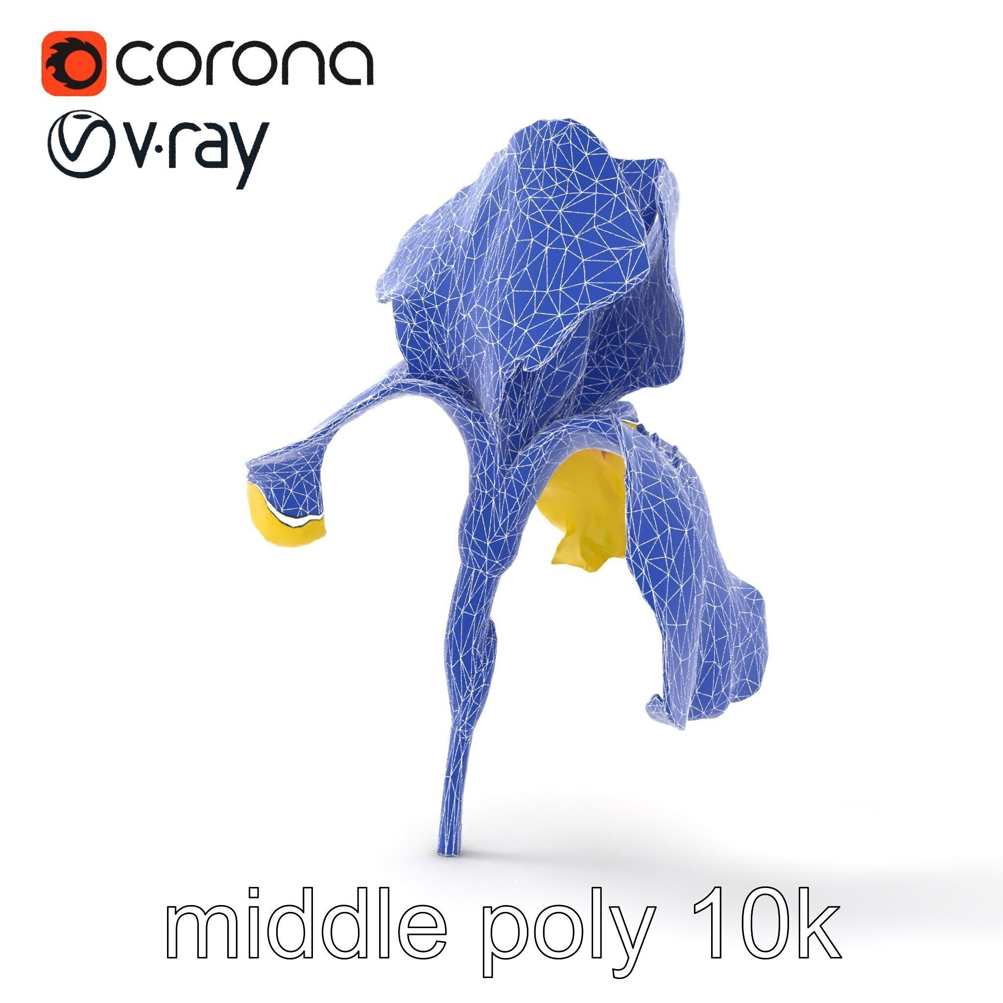 Yellow Iris Flower Model Pack Low-poly 3D model_24