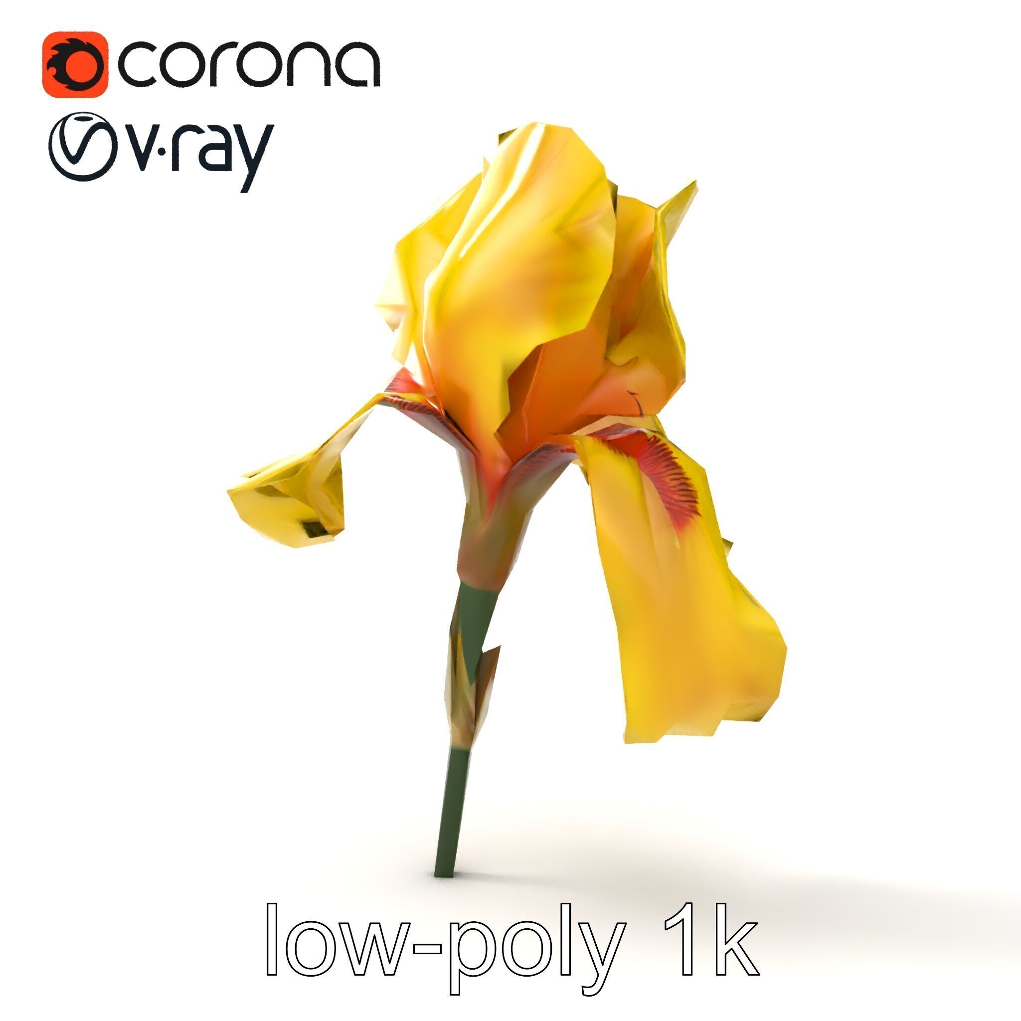Yellow Iris Flower Model Pack Low-poly 3D model_28