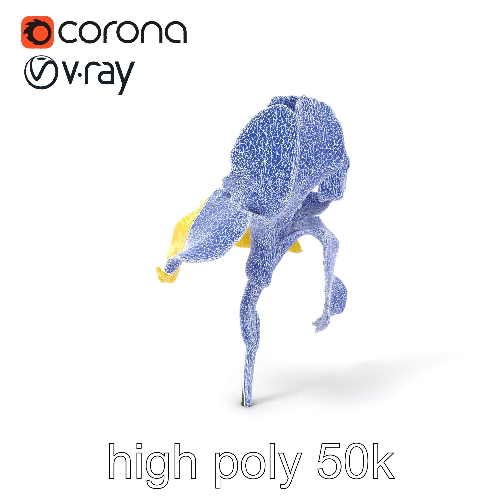 Yellow Iris Flower Model Pack Low-poly 3D model_10