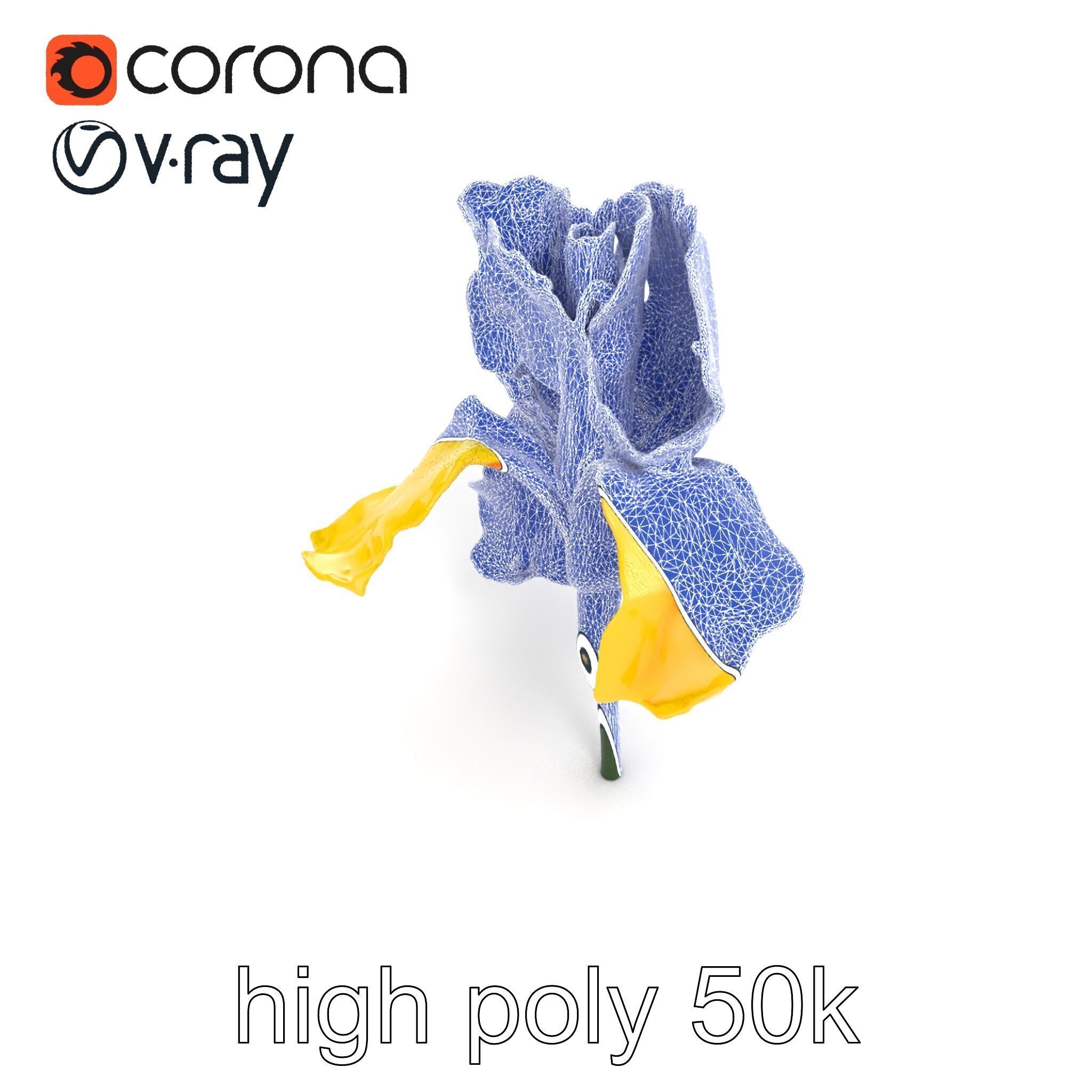Yellow Iris Flower Model Pack Low-poly 3D model_19