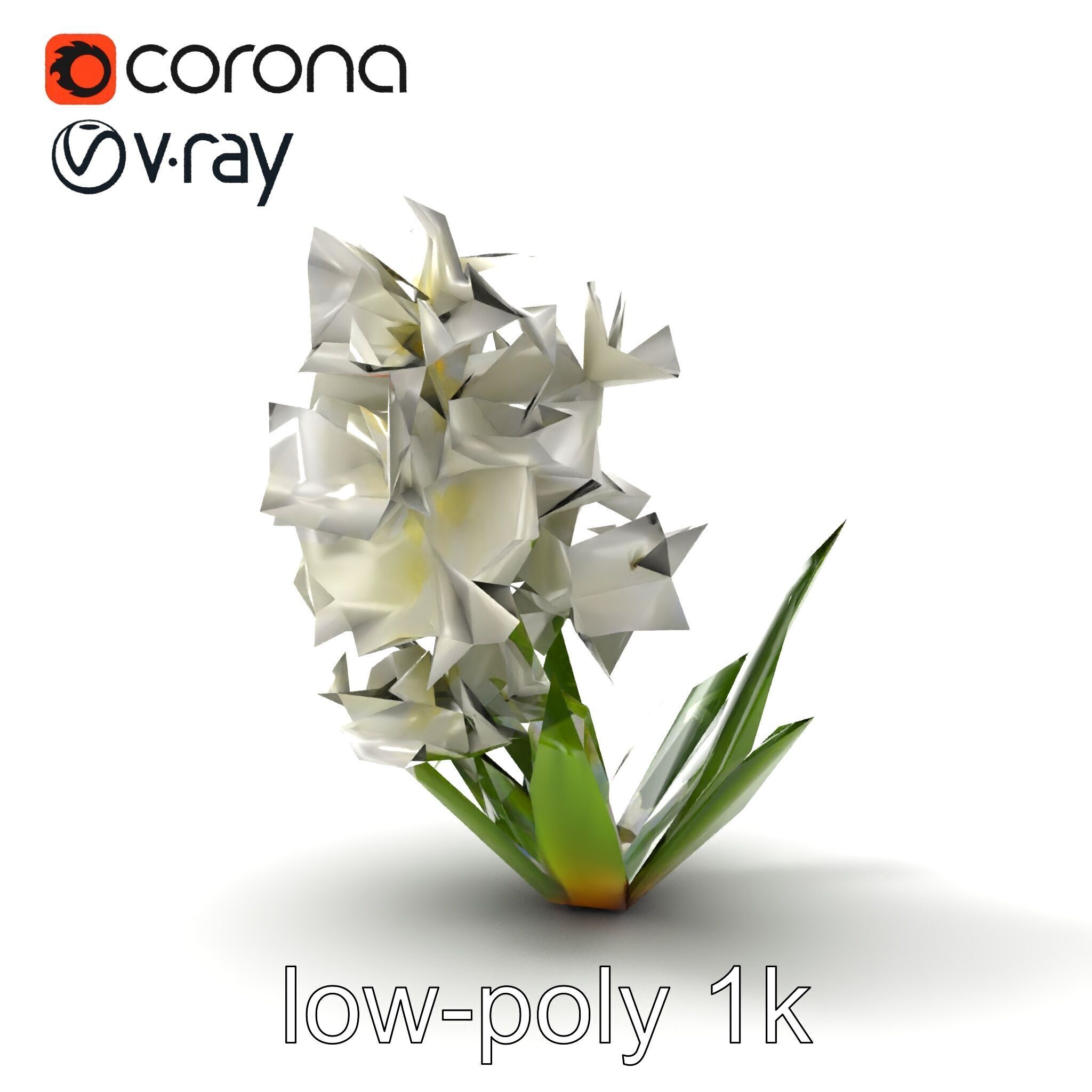White Hyacinth Flower Realistic Model Pack Low-poly 3D model_18