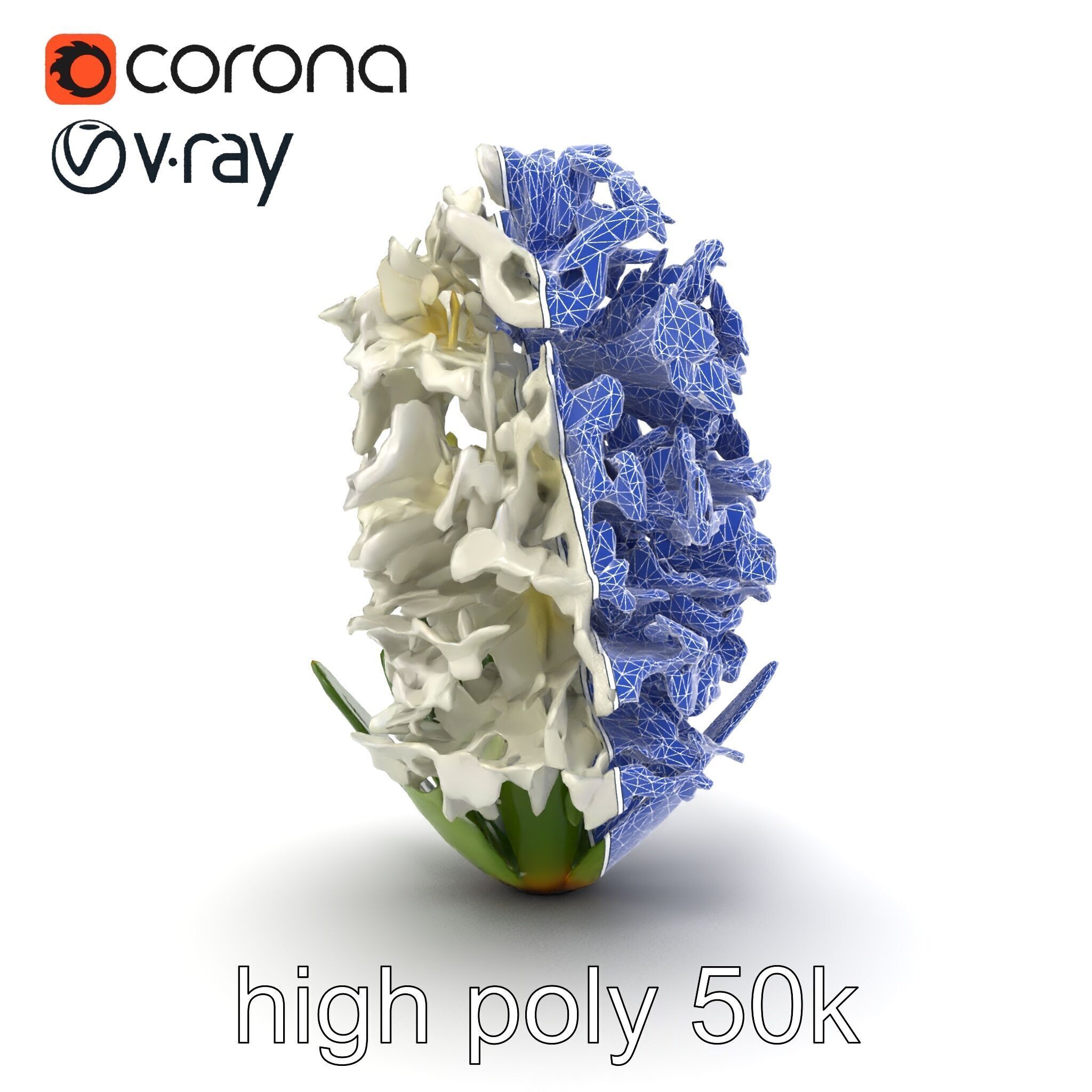White Hyacinth Flower Realistic Model Pack Low-poly 3D model_28