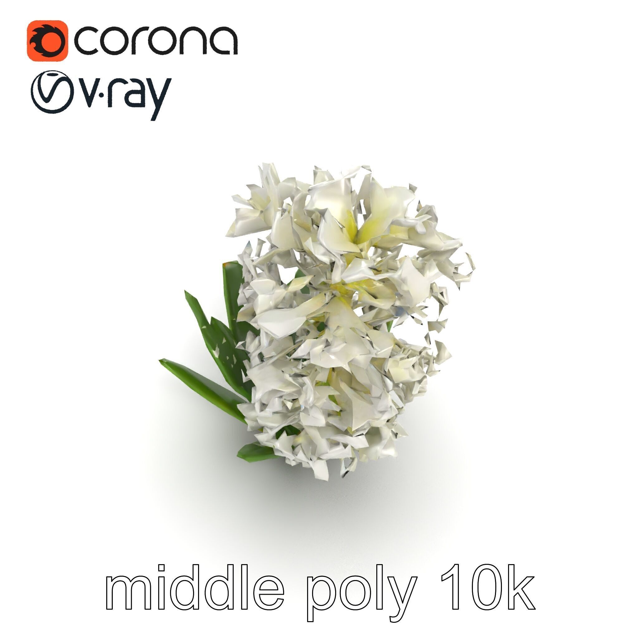 White Hyacinth Flower Realistic Model Pack Low-poly 3D model_14