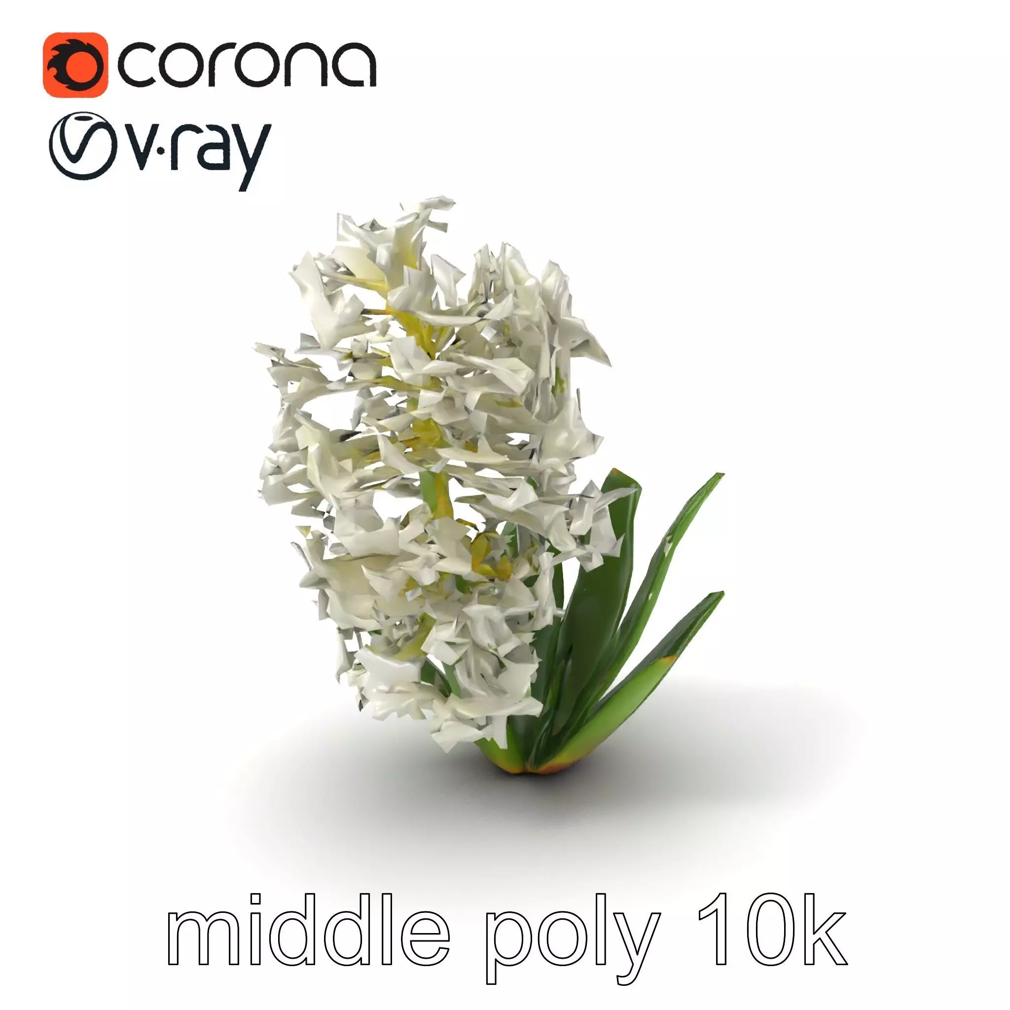 White Hyacinth Flower Realistic Model Pack Low-poly 3D model_0