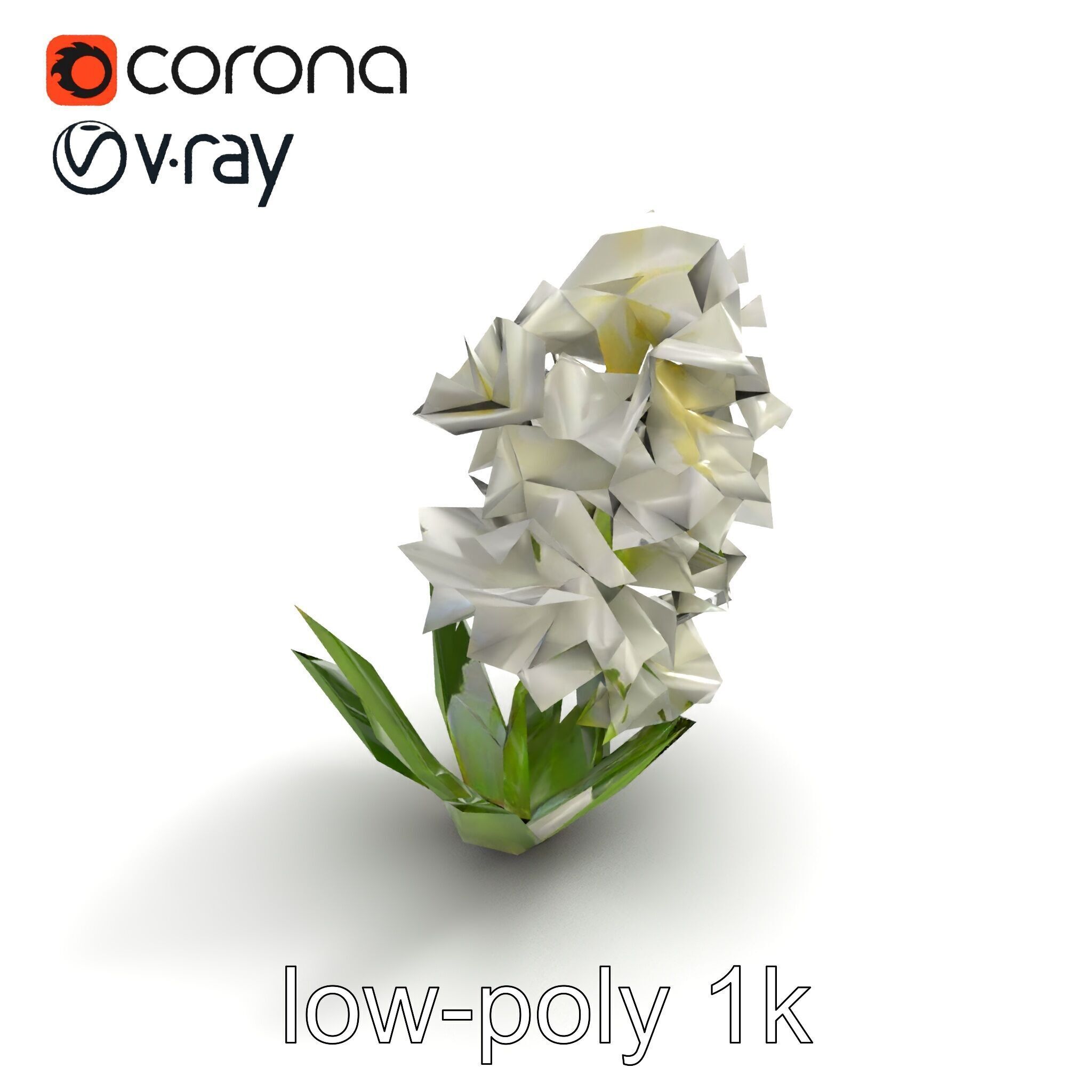 White Hyacinth Flower Realistic Model Pack Low-poly 3D model_8