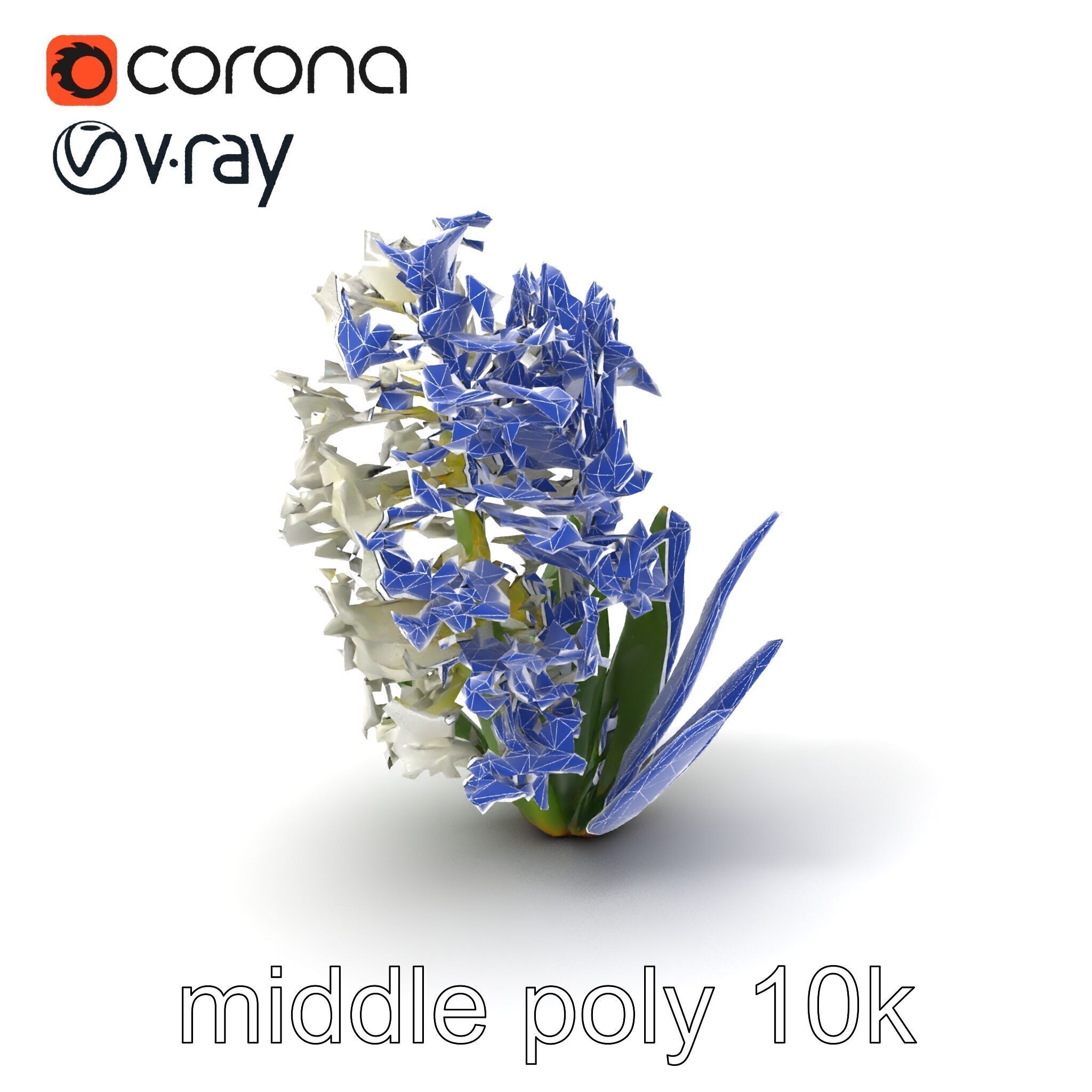 White Hyacinth Flower Realistic Model Pack Low-poly 3D model_5