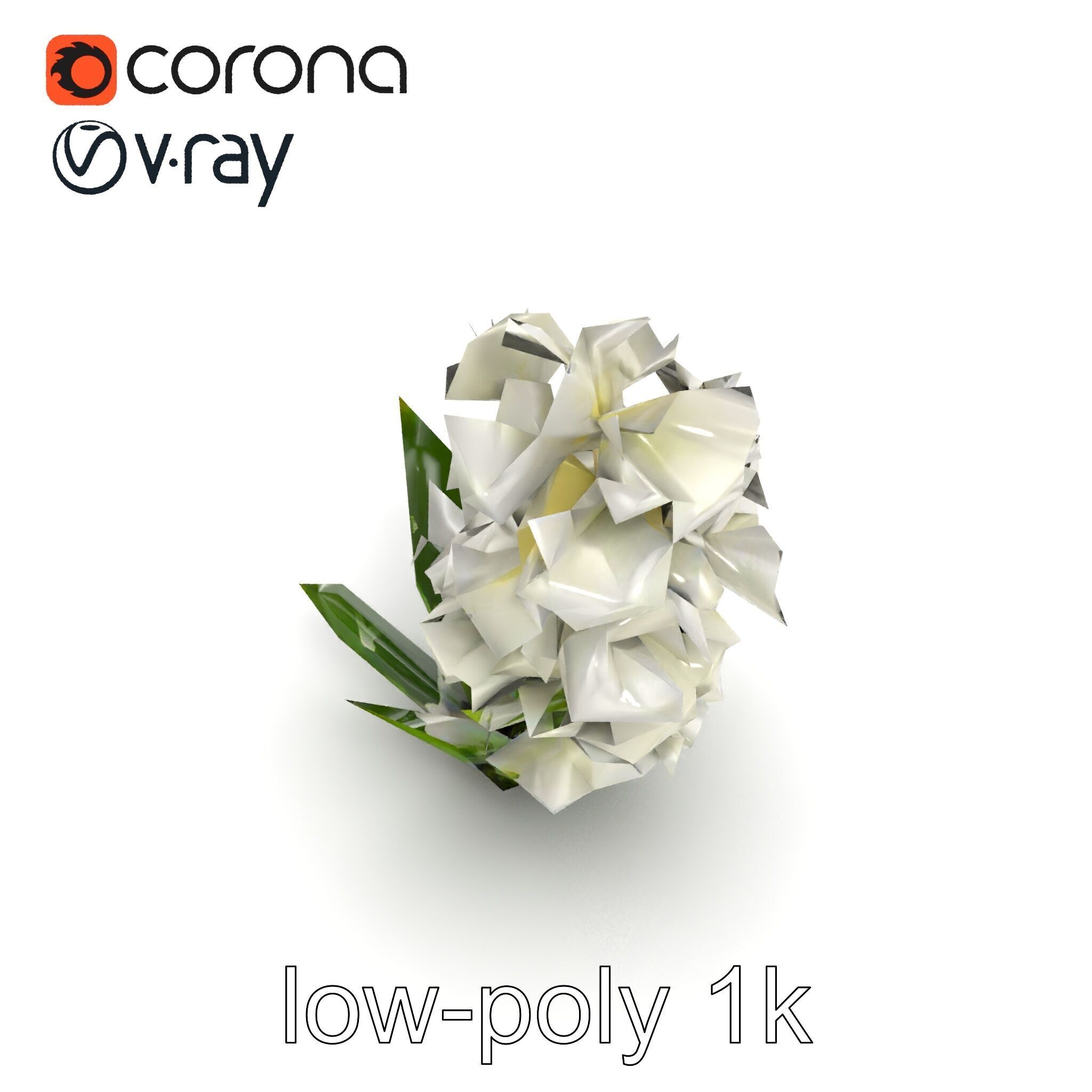 White Hyacinth Flower Realistic Model Pack Low-poly 3D model_11