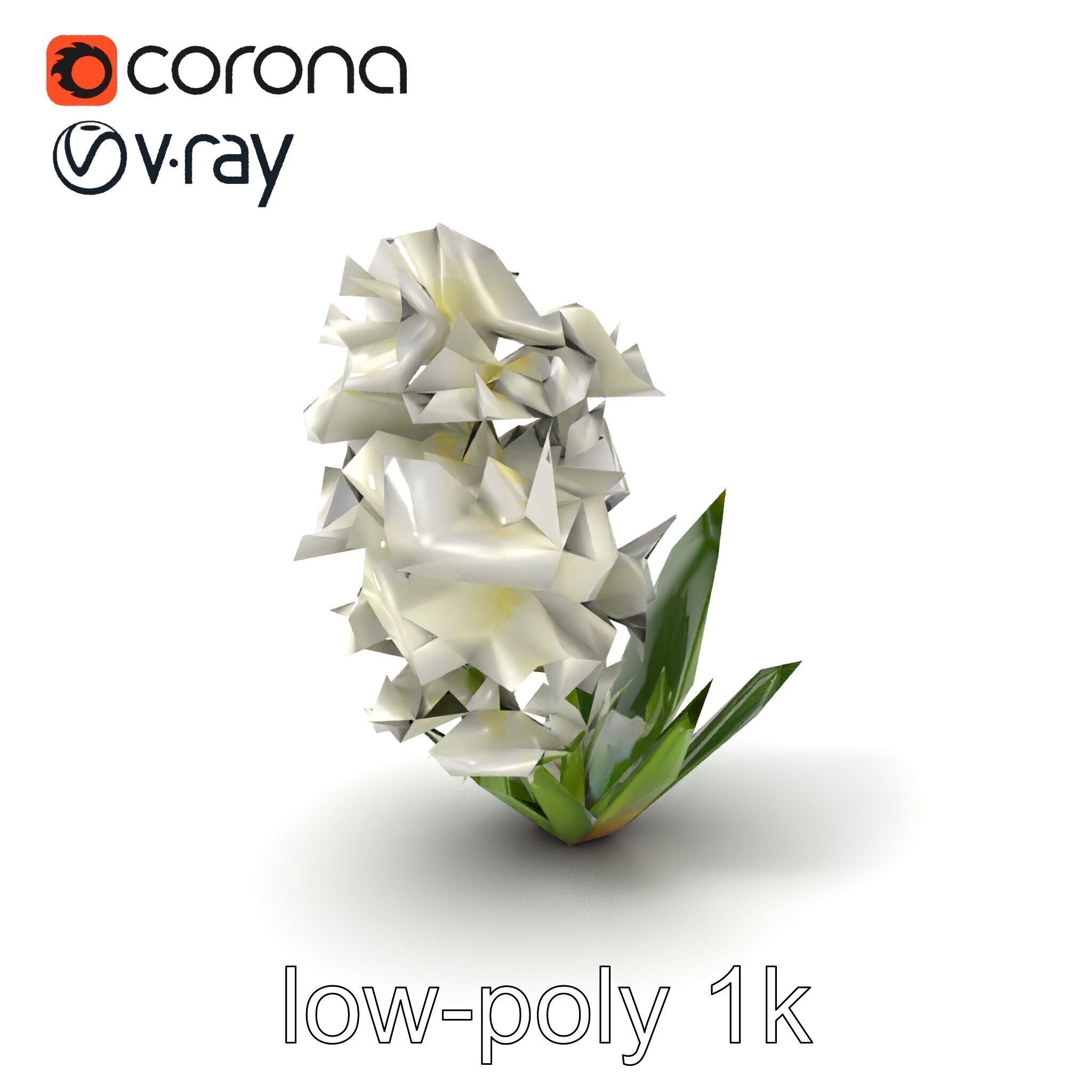 White Hyacinth Flower Realistic Model Pack Low-poly 3D model_4