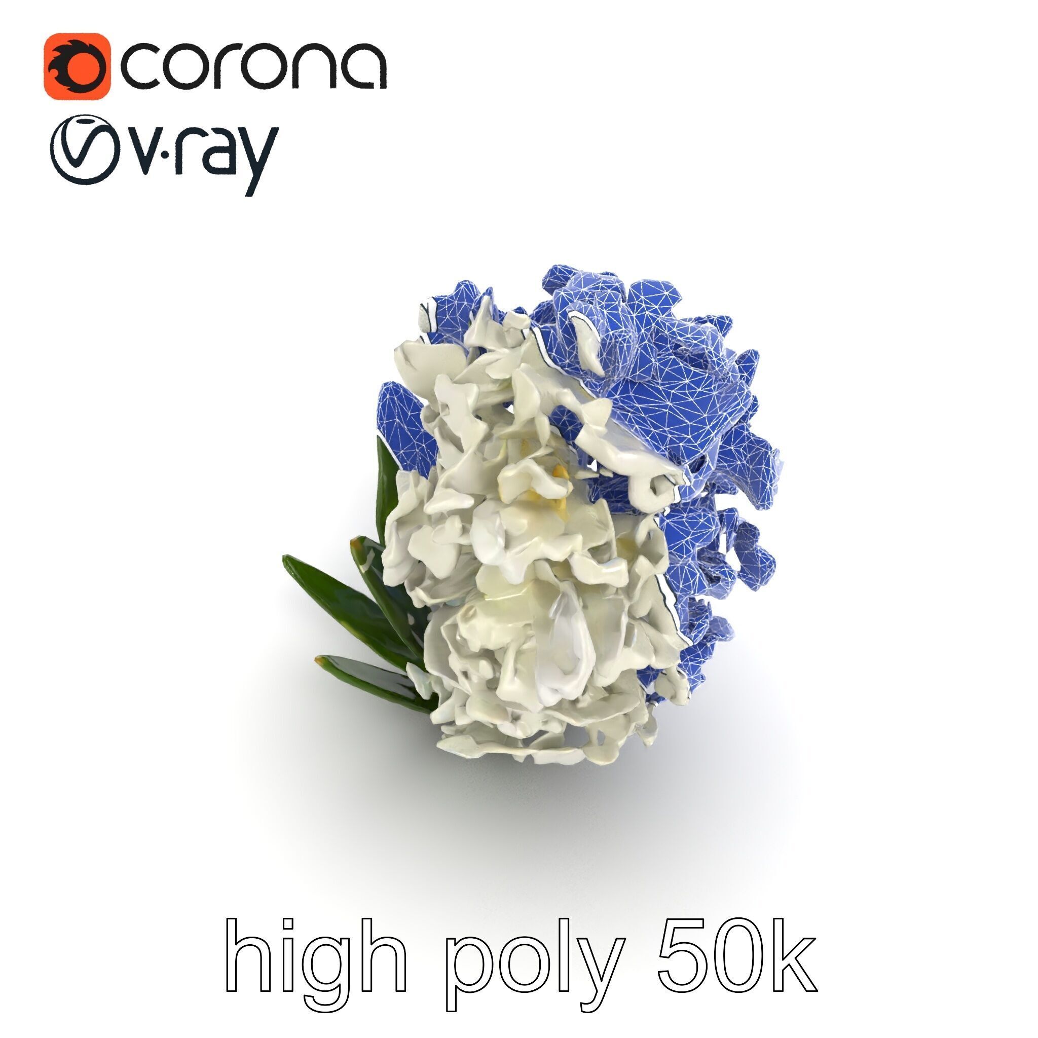 White Hyacinth Flower Realistic Model Pack Low-poly 3D model_30
