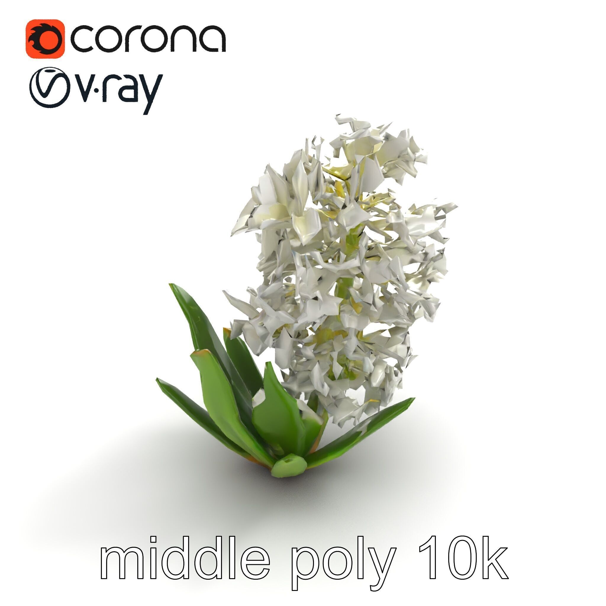 White Hyacinth Flower Realistic Model Pack Low-poly 3D model_7