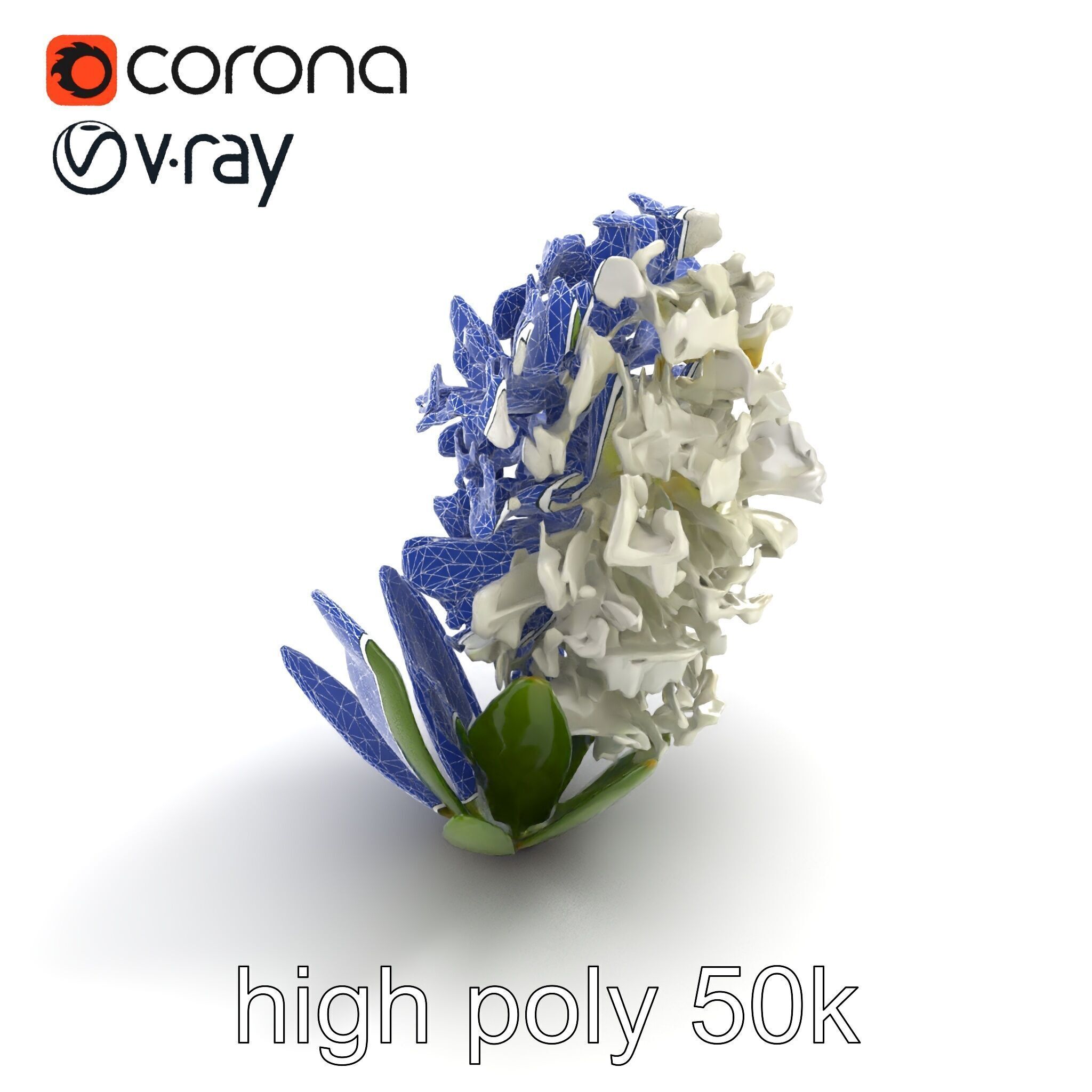 White Hyacinth Flower Realistic Model Pack Low-poly 3D model_25