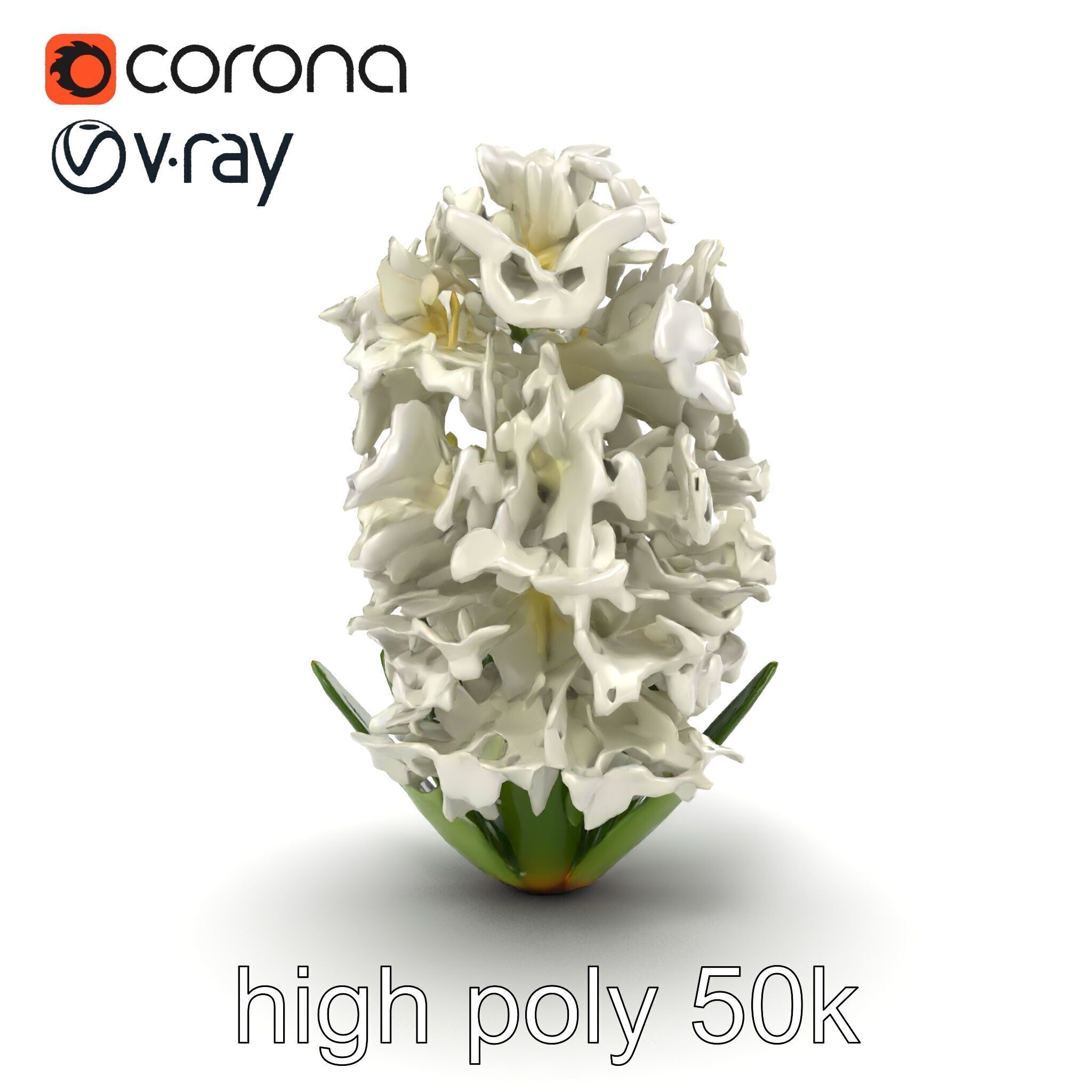 White Hyacinth Flower Realistic Model Pack Low-poly 3D model_23