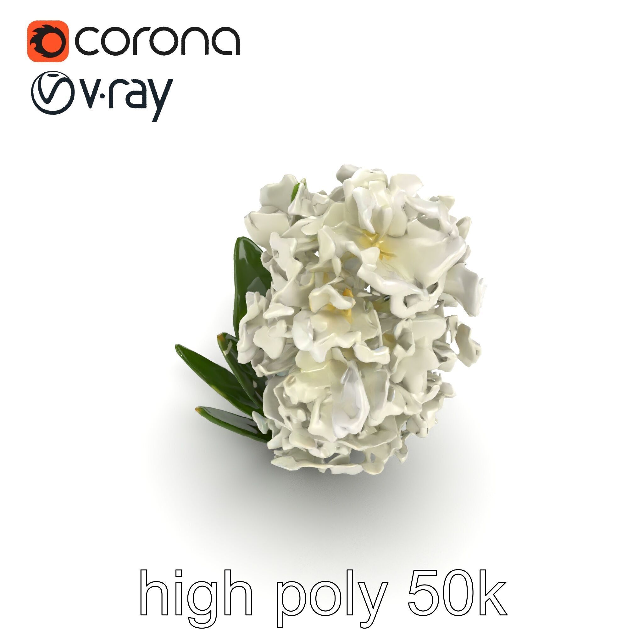 White Hyacinth Flower Realistic Model Pack Low-poly 3D model_20
