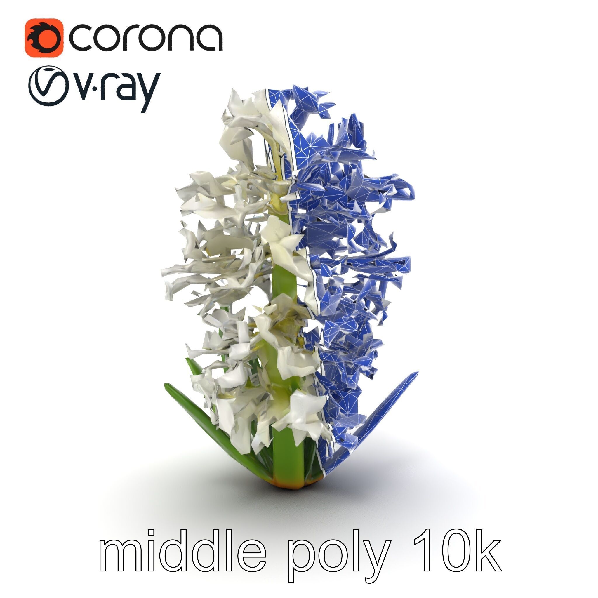 White Hyacinth Flower Realistic Model Pack Low-poly 3D model_22