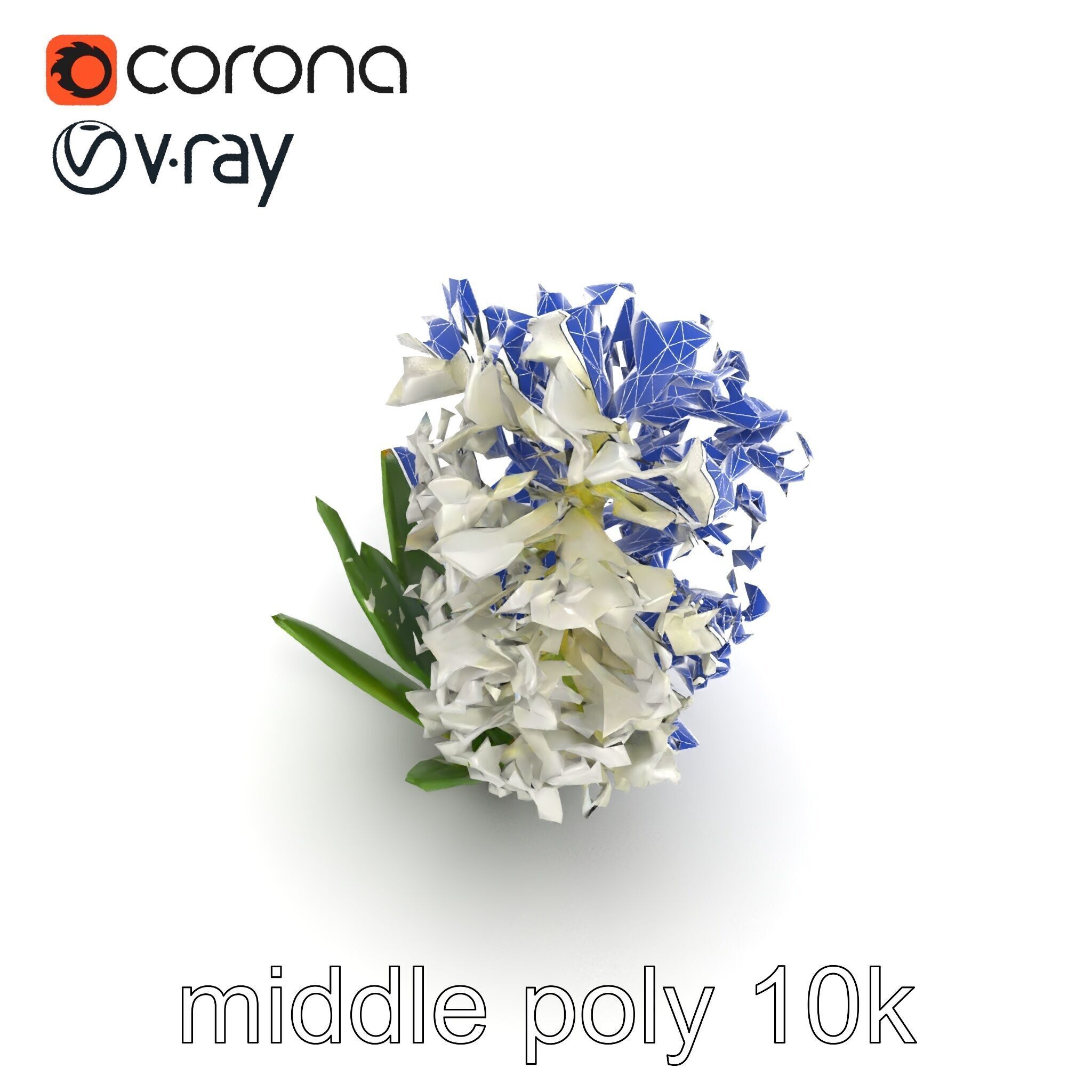 White Hyacinth Flower Realistic Model Pack Low-poly 3D model_17