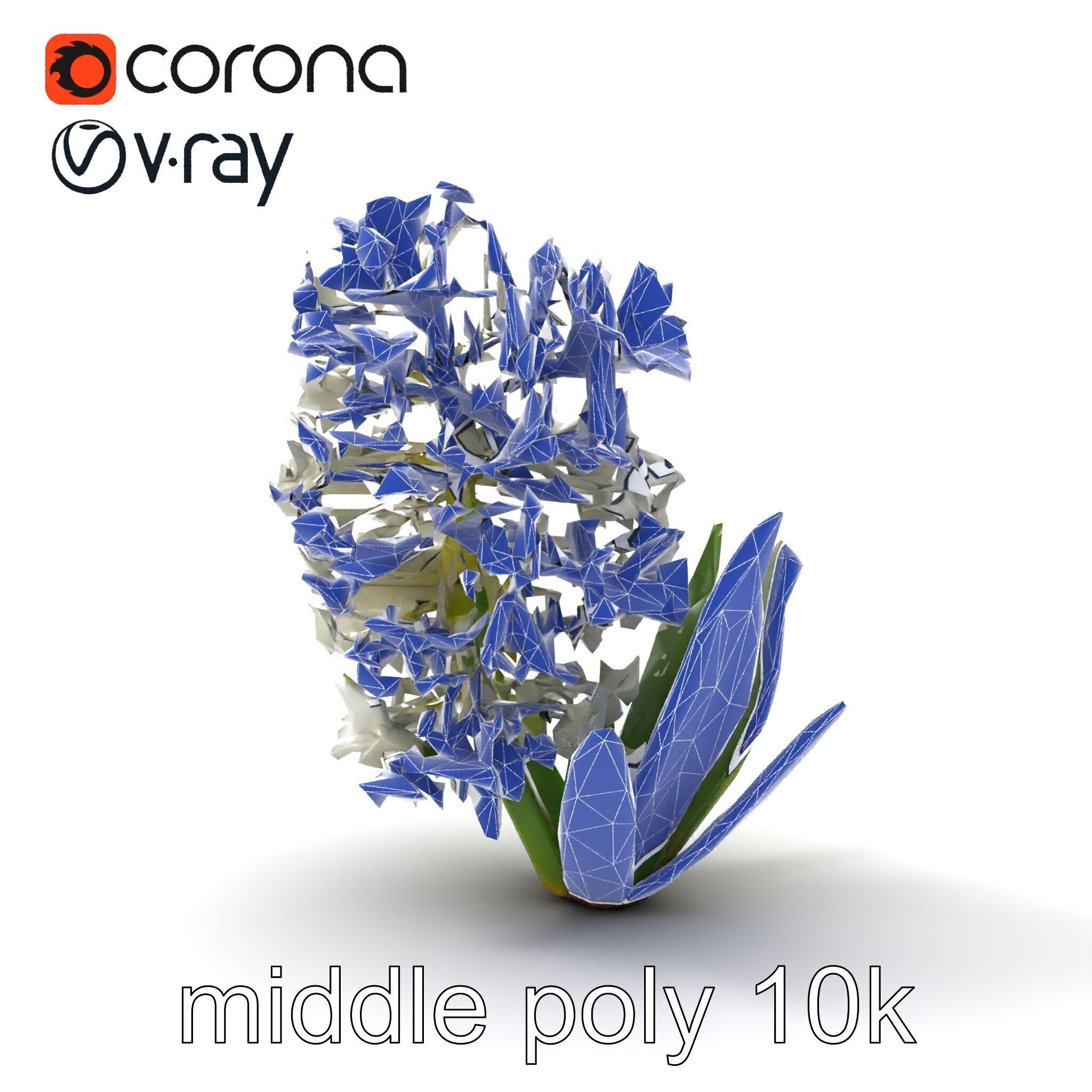 White Hyacinth Flower Realistic Model Pack Low-poly 3D model_29