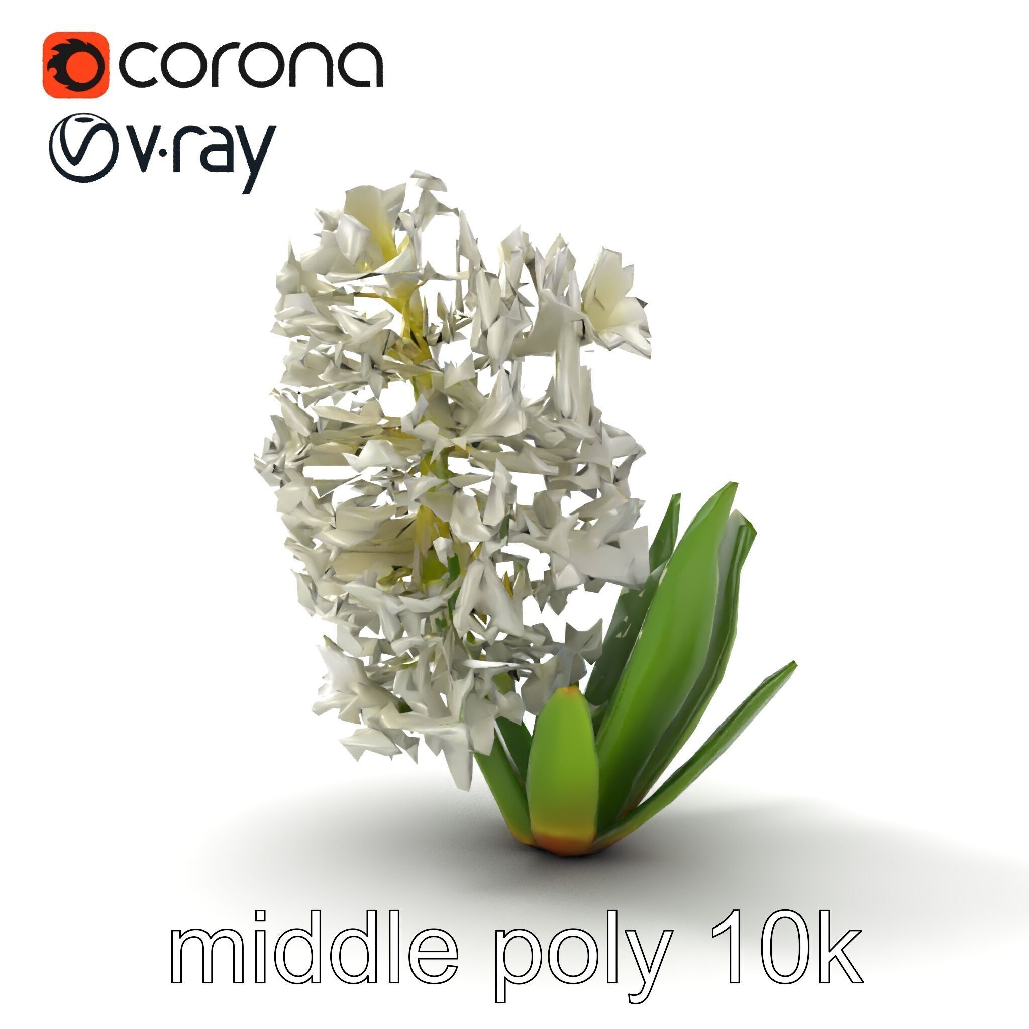 White Hyacinth Flower Realistic Model Pack Low-poly 3D model_21
