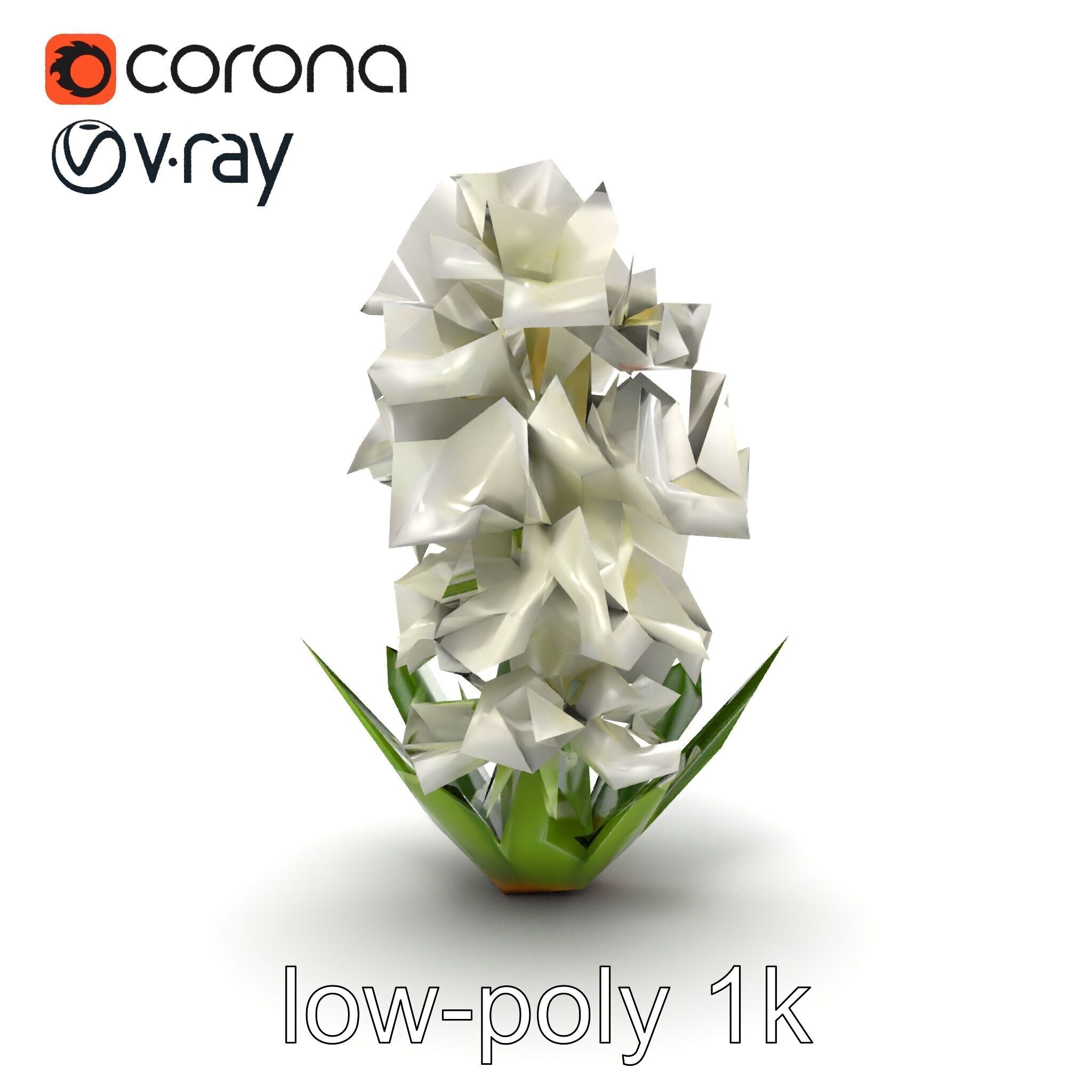 White Hyacinth Flower Realistic Model Pack Low-poly 3D model_24