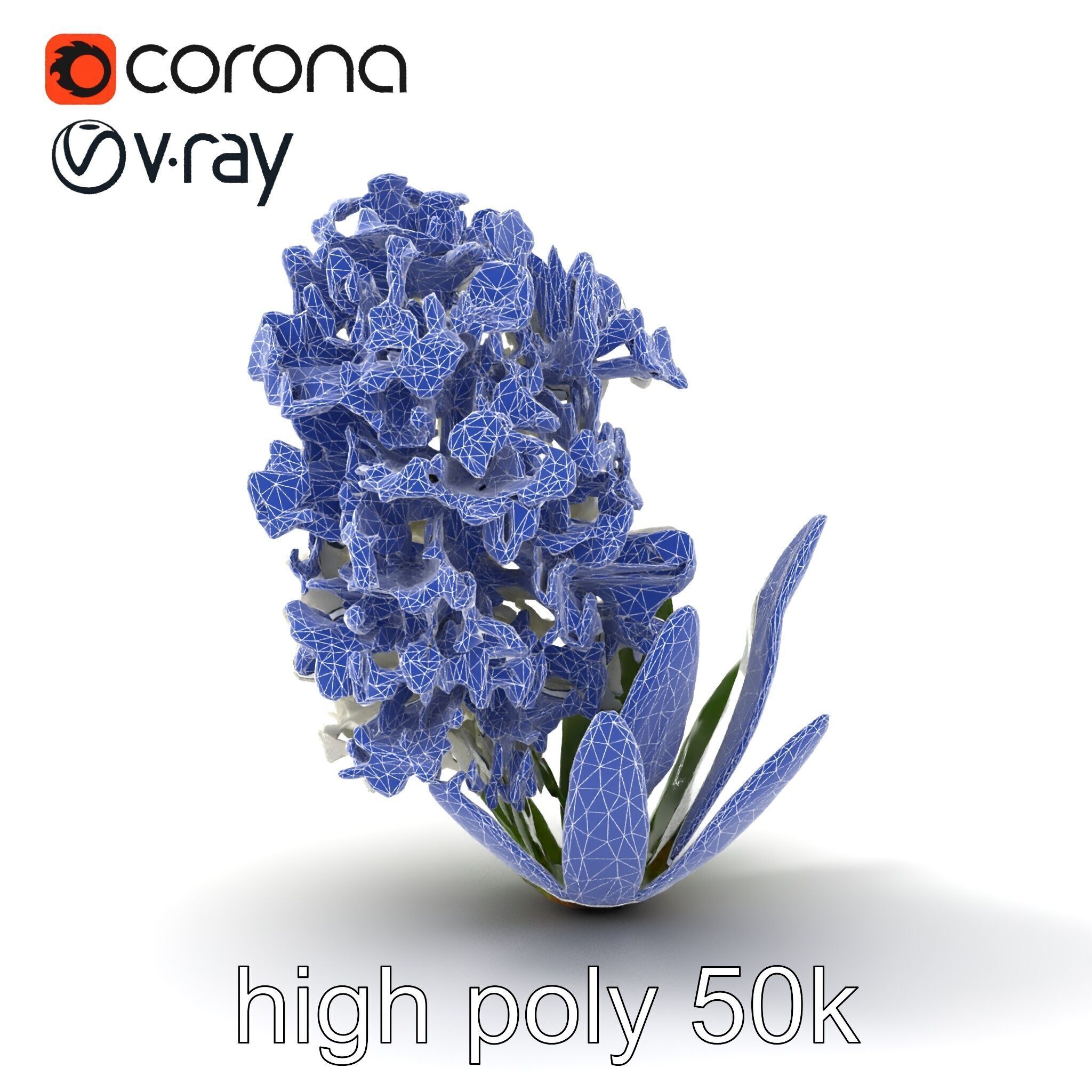 White Hyacinth Flower Realistic Model Pack Low-poly 3D model_26