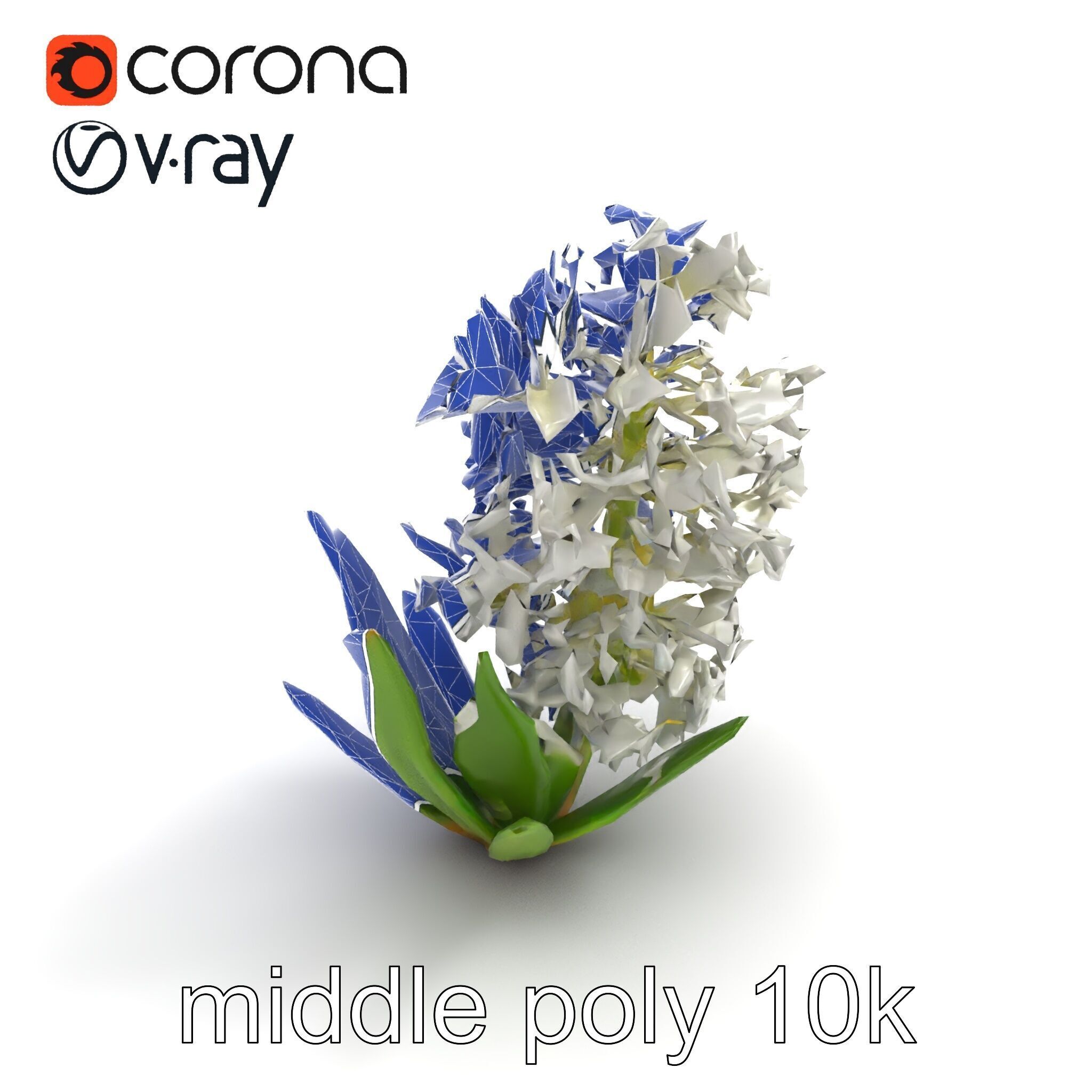 White Hyacinth Flower Realistic Model Pack Low-poly 3D model_10