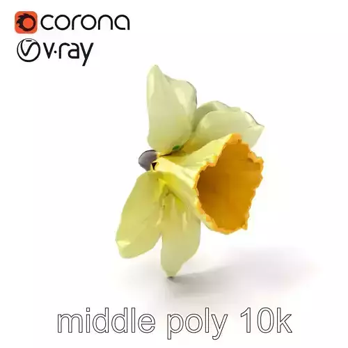 Narcissus Flower Detailed Model Pack