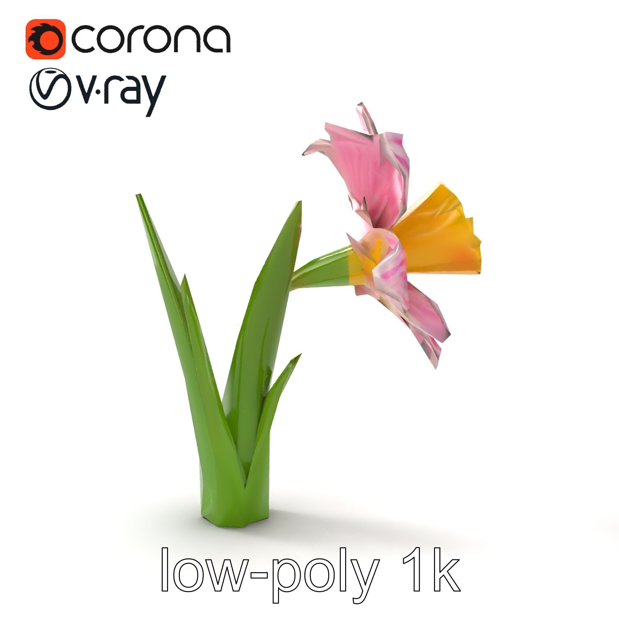 Narcissus Flower Realistic Botanical model pack Low-poly 3D model_22