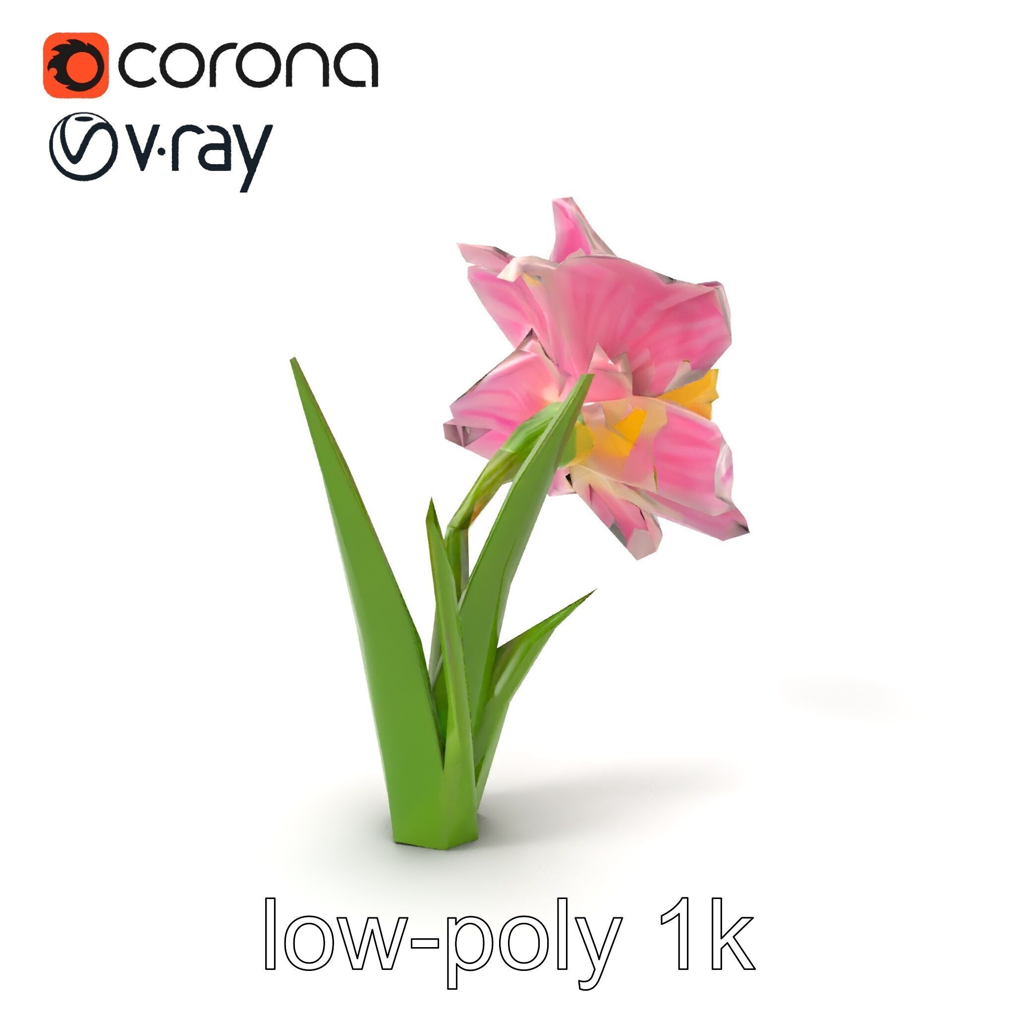 Narcissus Flower Realistic Botanical model pack Low-poly 3D model_4