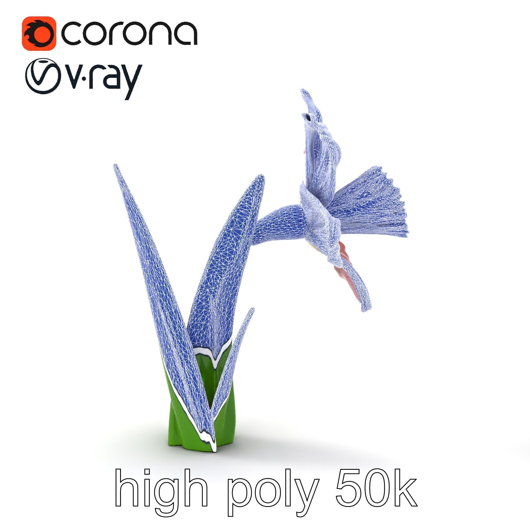 Narcissus Flower Realistic Botanical model pack Low-poly 3D model_29