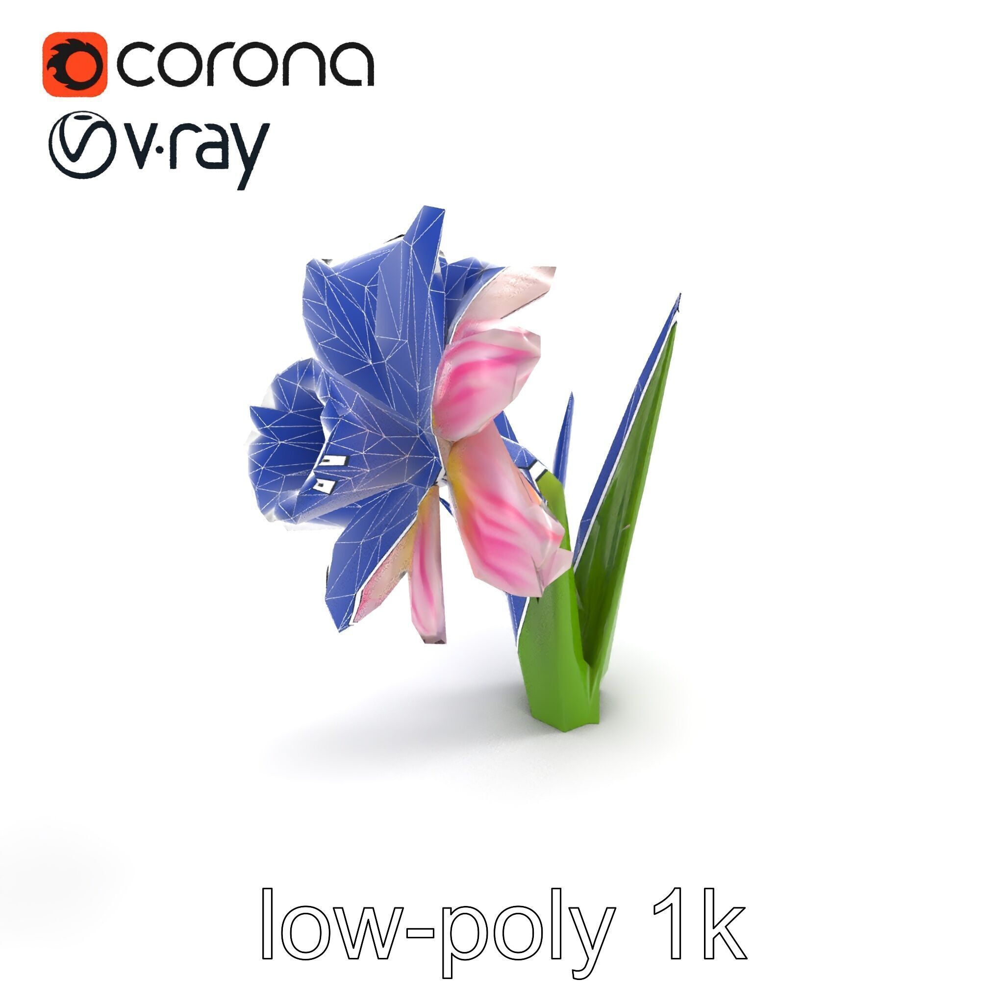 Narcissus Flower Realistic Botanical model pack Low-poly 3D model_11