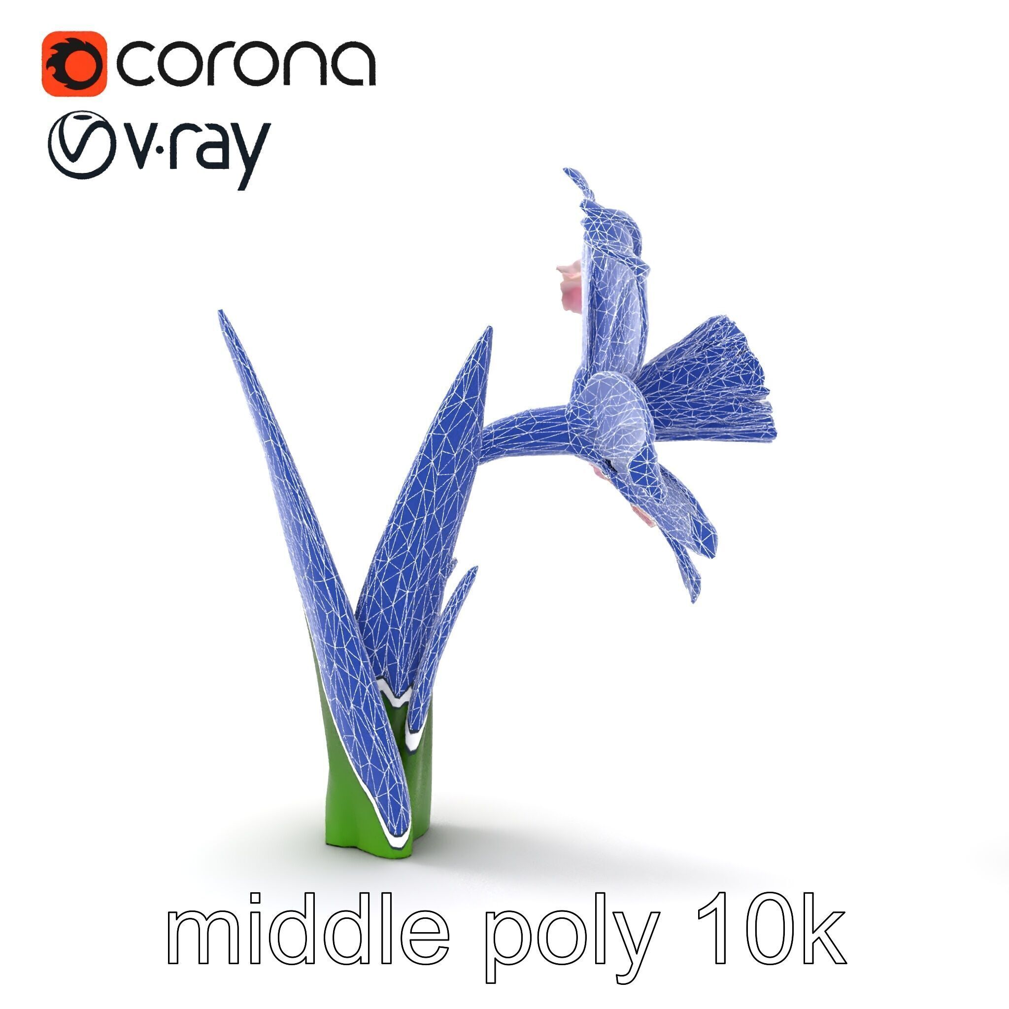 Narcissus Flower Realistic Botanical model pack Low-poly 3D model_12