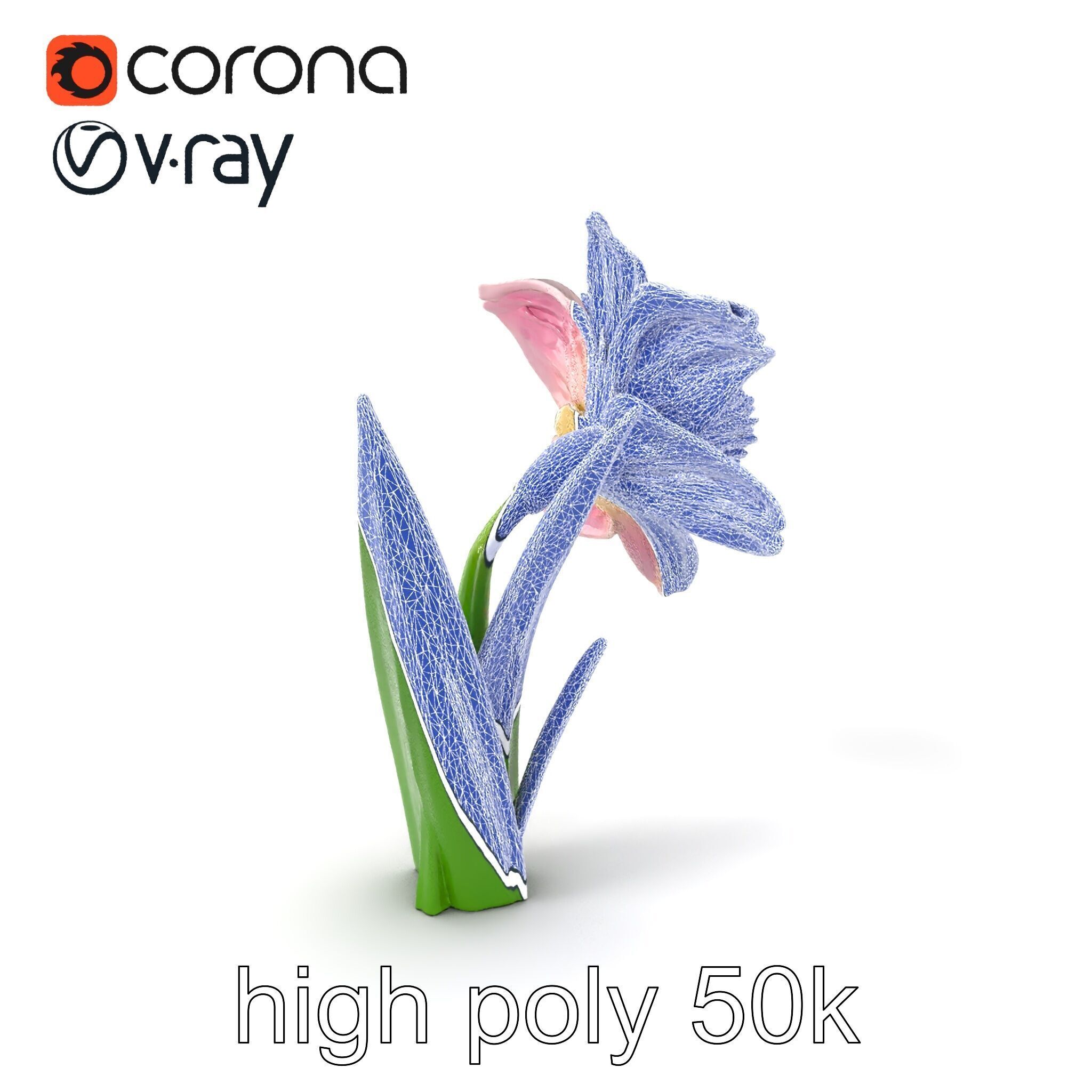 Narcissus Flower Realistic Botanical model pack Low-poly 3D model_1
