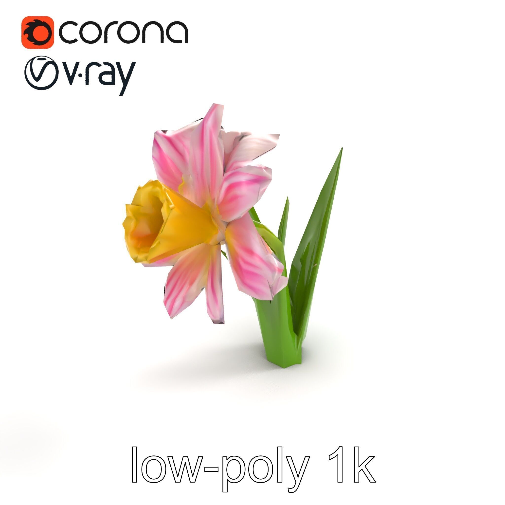 Narcissus Flower Realistic Botanical model pack Low-poly 3D model_8