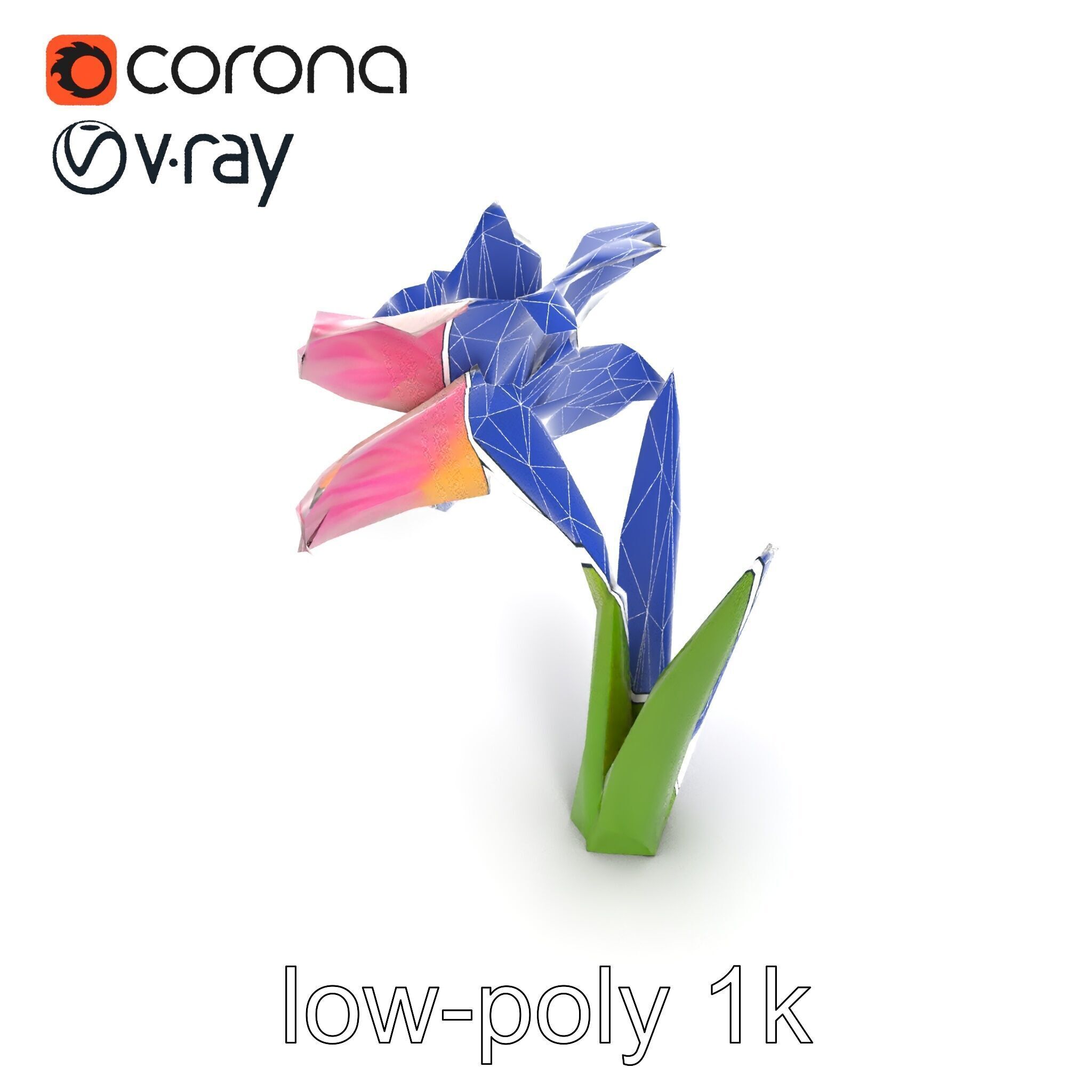 Narcissus Flower Realistic Botanical model pack Low-poly 3D model_20