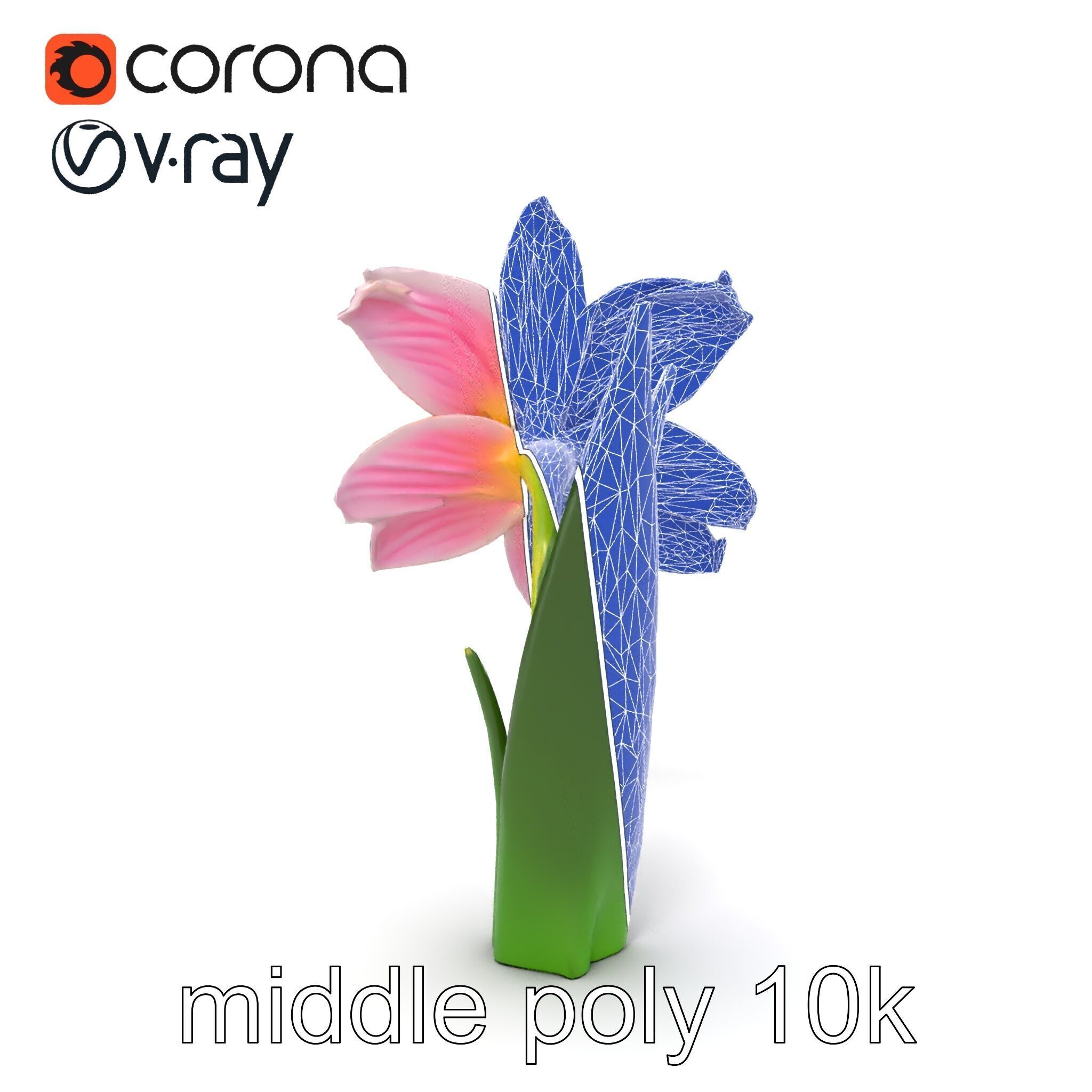 Narcissus Flower Realistic Botanical model pack Low-poly 3D model_14