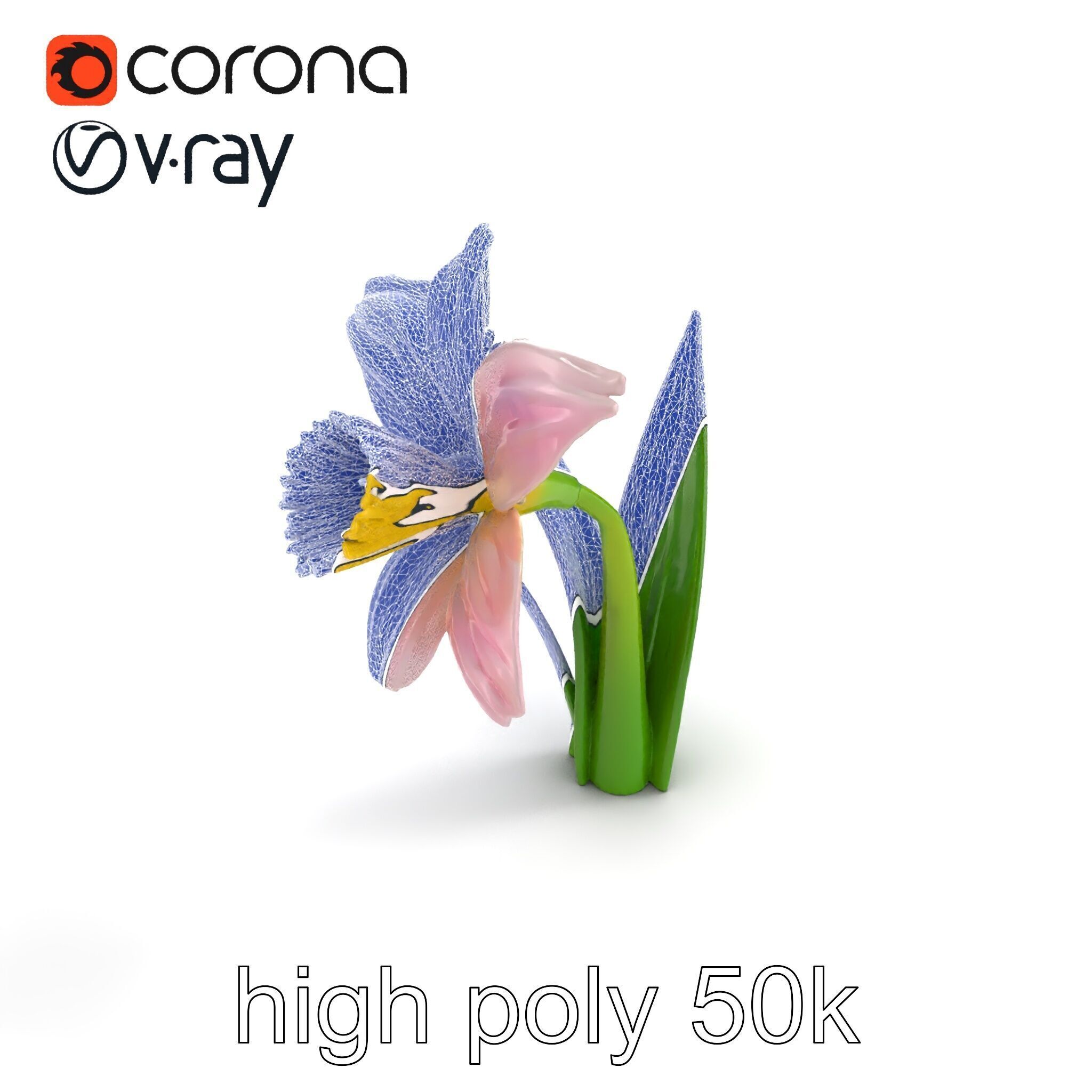 Narcissus Flower Realistic Botanical model pack Low-poly 3D model_28