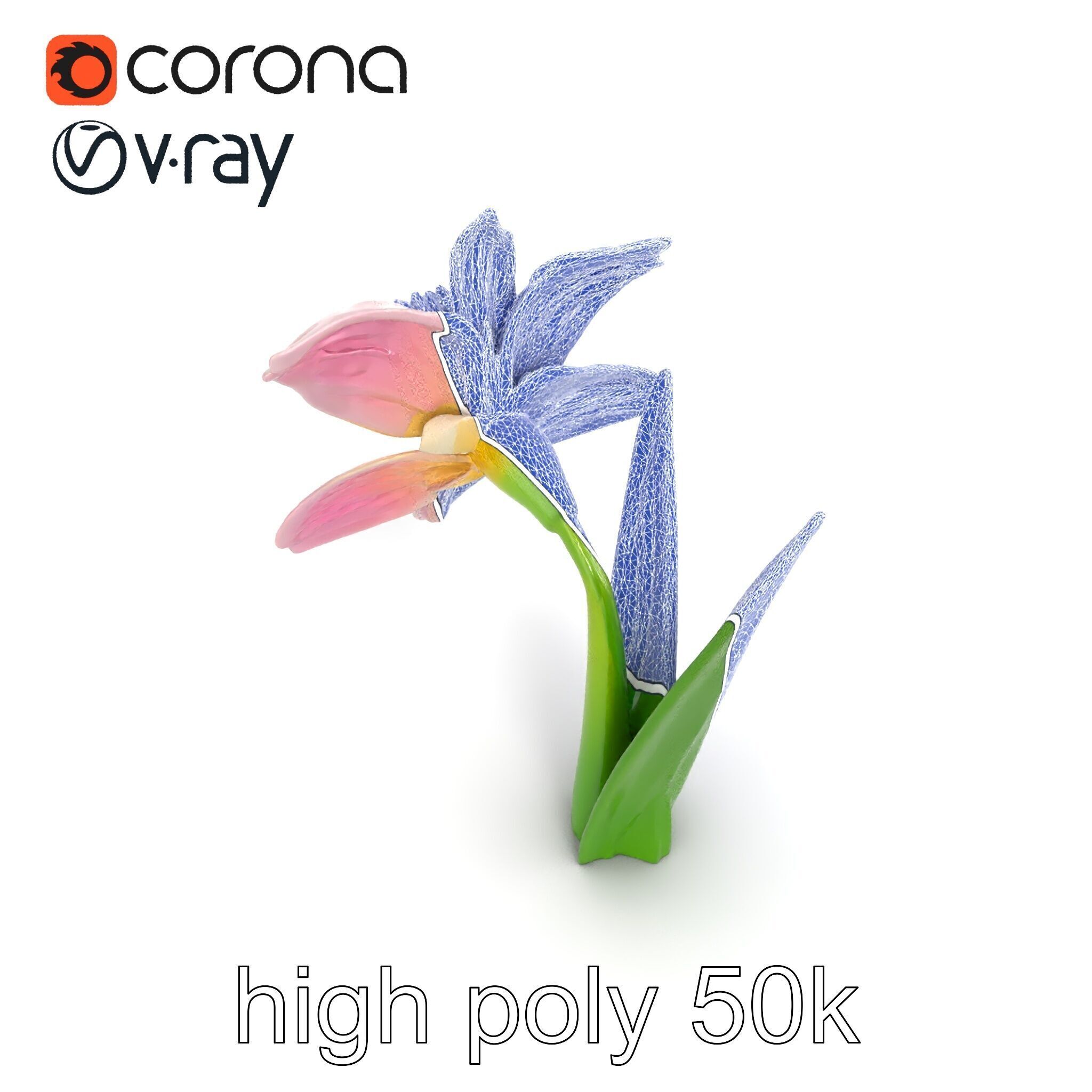 Narcissus Flower Realistic Botanical model pack Low-poly 3D model_16