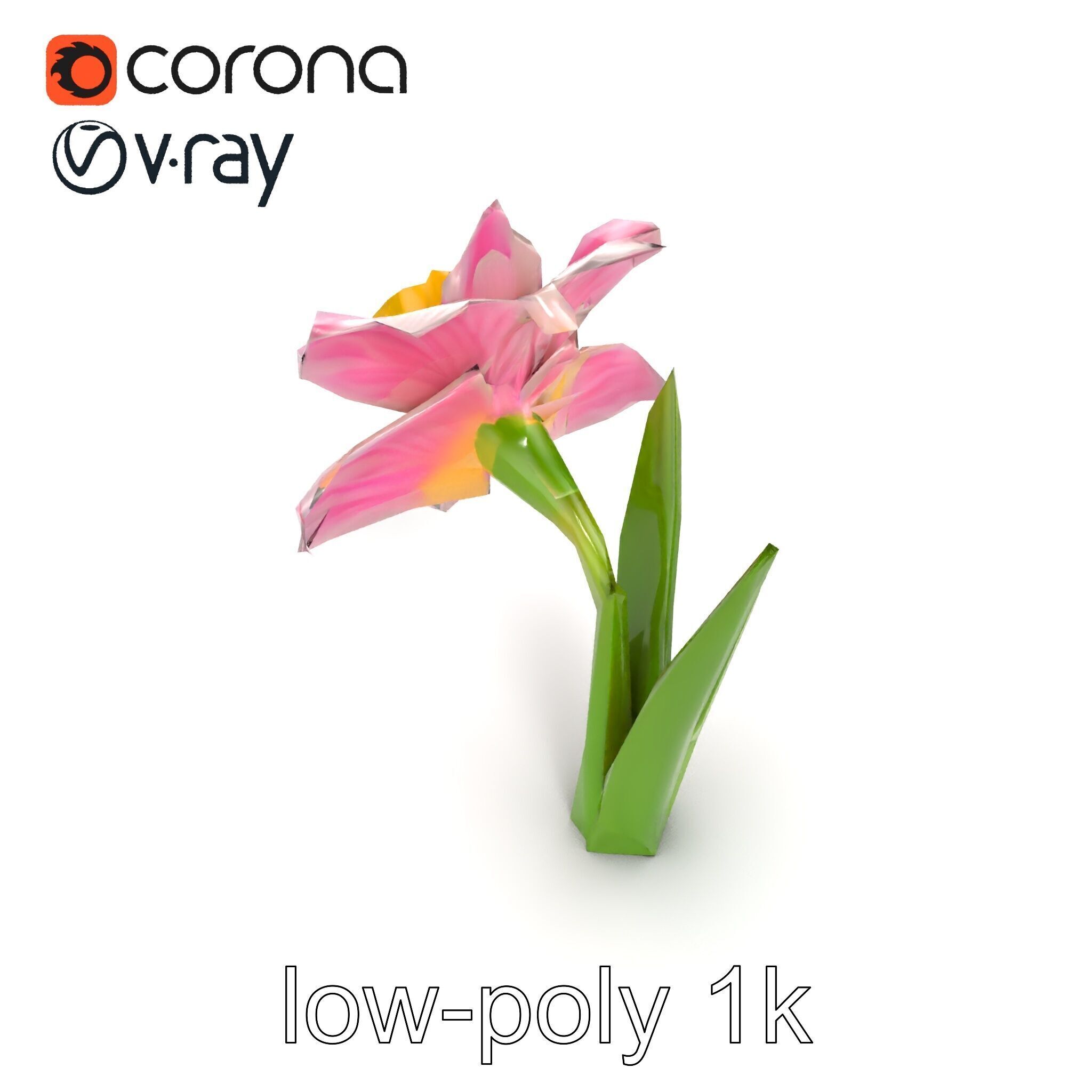 Narcissus Flower Realistic Botanical model pack Low-poly 3D model_15