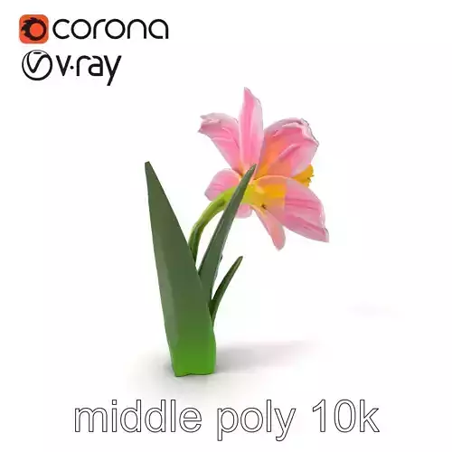 Narcissus Flower Realistic Botanical model pack