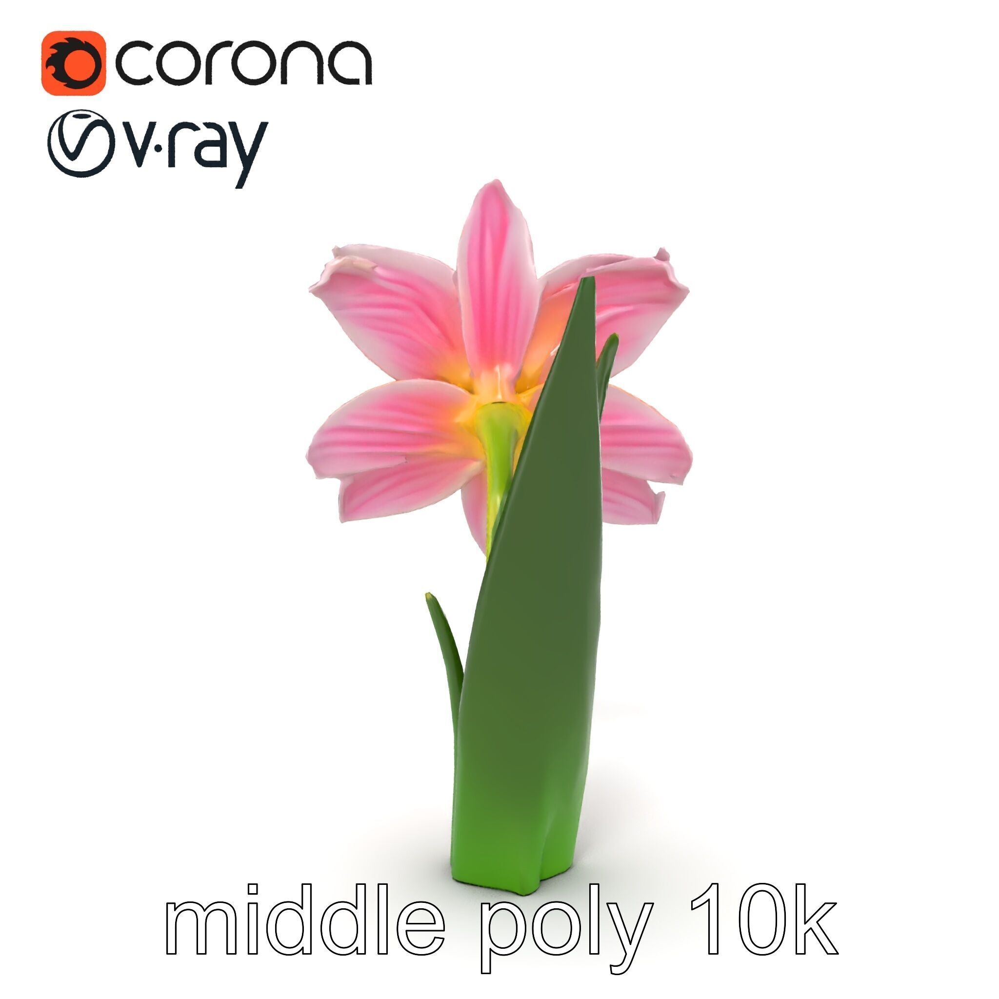 Narcissus Flower Realistic Botanical model pack Low-poly 3D model_17