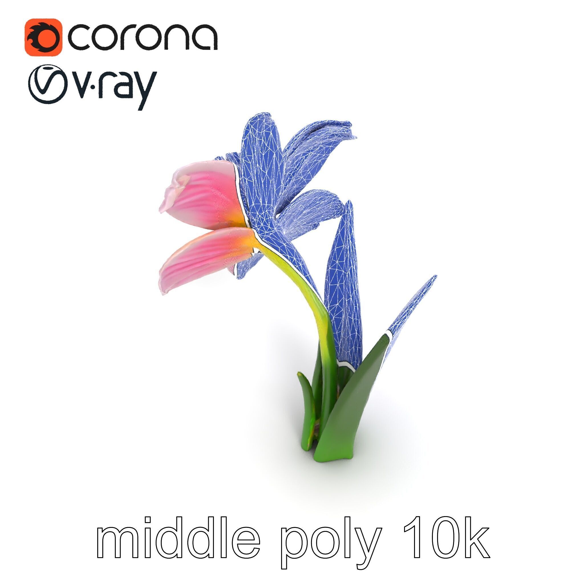 Narcissus Flower Realistic Botanical model pack Low-poly 3D model_25