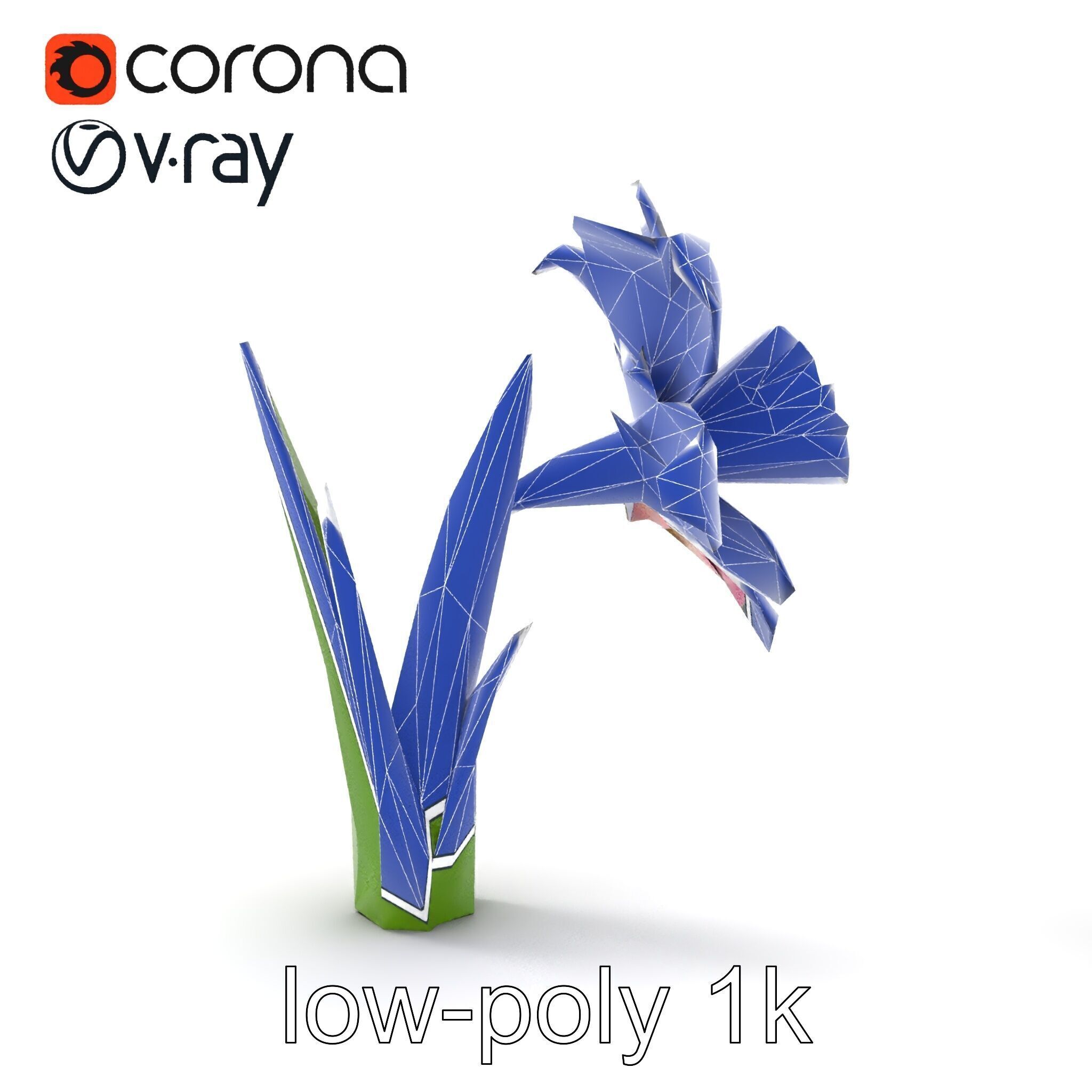 Narcissus Flower Realistic Botanical model pack Low-poly 3D model_27