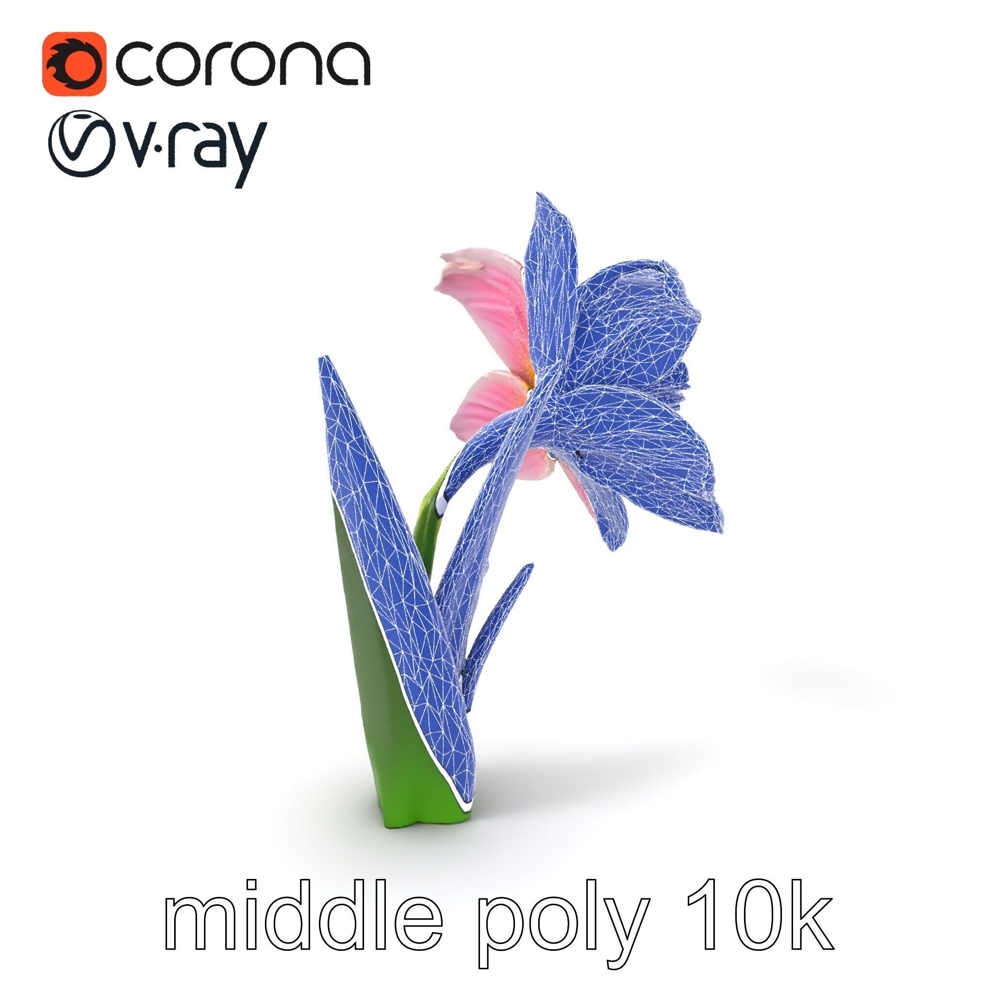 Narcissus Flower Realistic Botanical model pack Low-poly 3D model_5