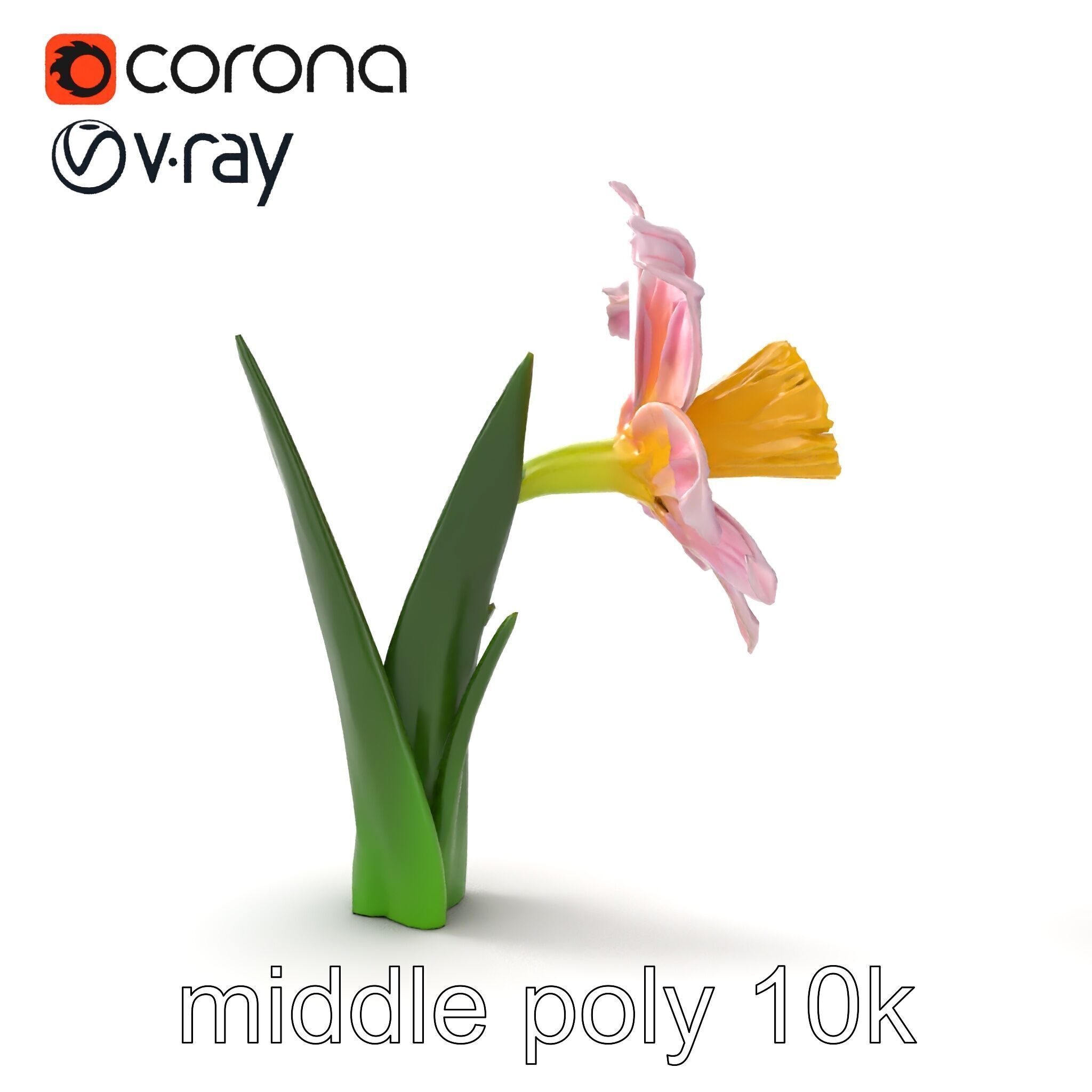 Narcissus Flower Realistic Botanical model pack Low-poly 3D model_21