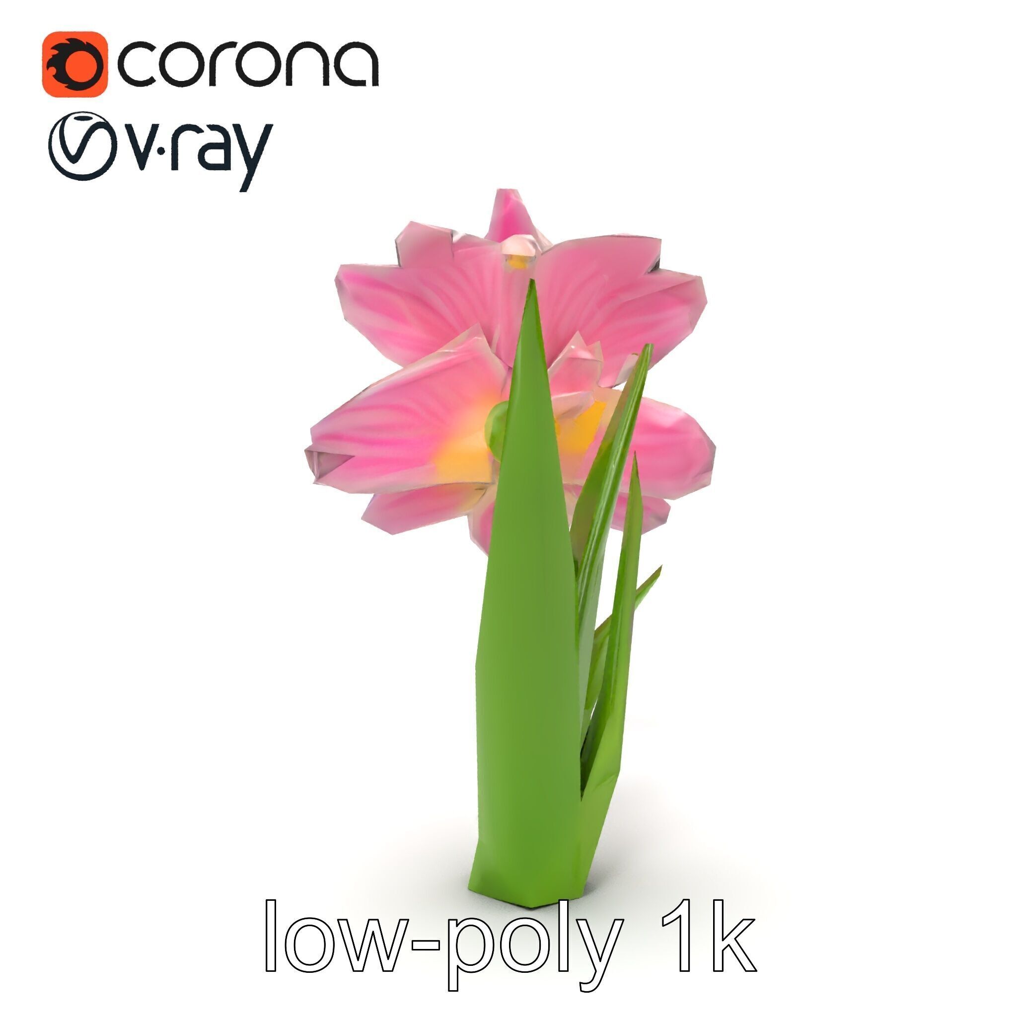 Narcissus Flower Realistic Botanical model pack Low-poly 3D model_19
