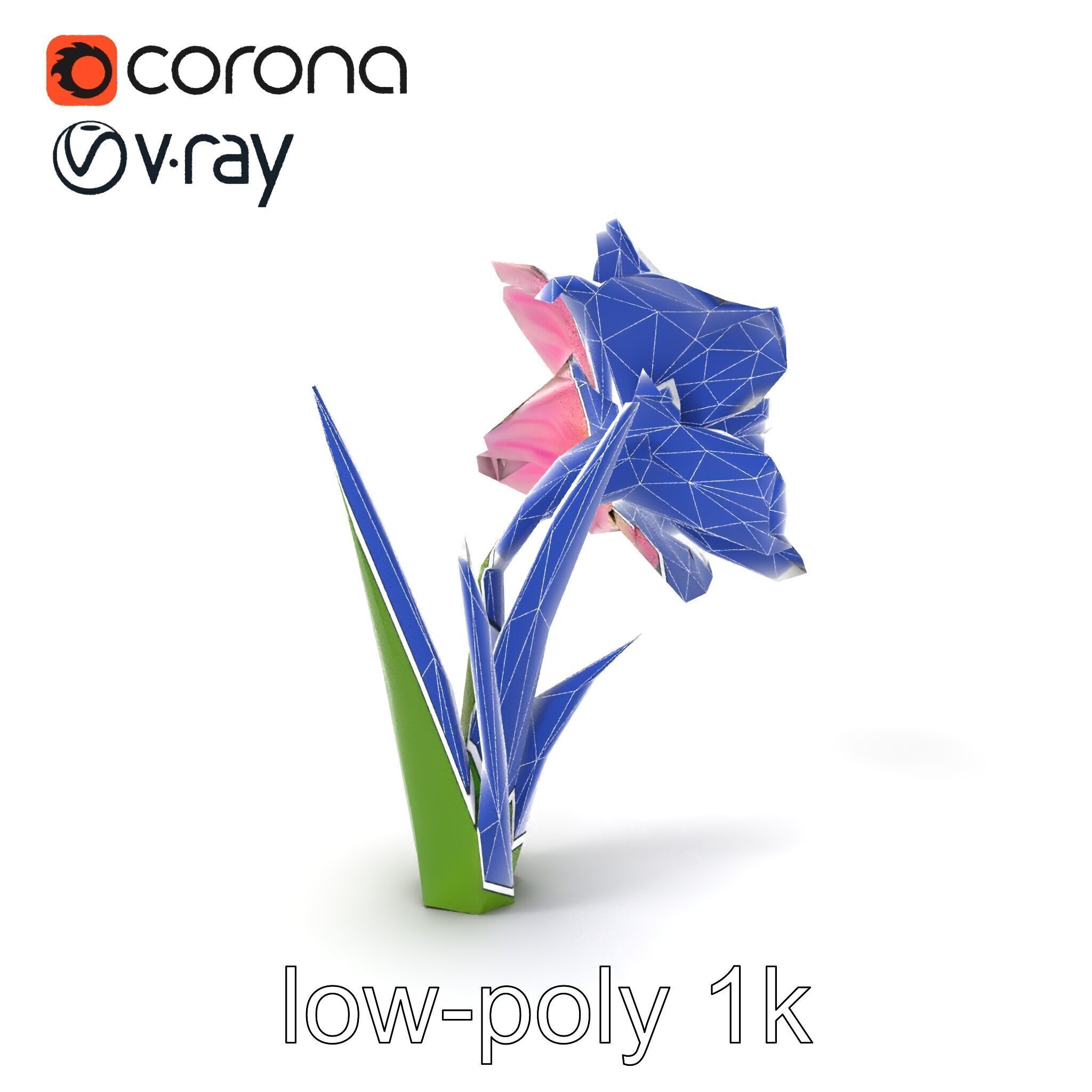 Narcissus Flower Realistic Botanical model pack Low-poly 3D model_6