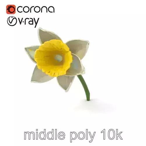 White Narcissus Flower Realistic Textured Model Pack