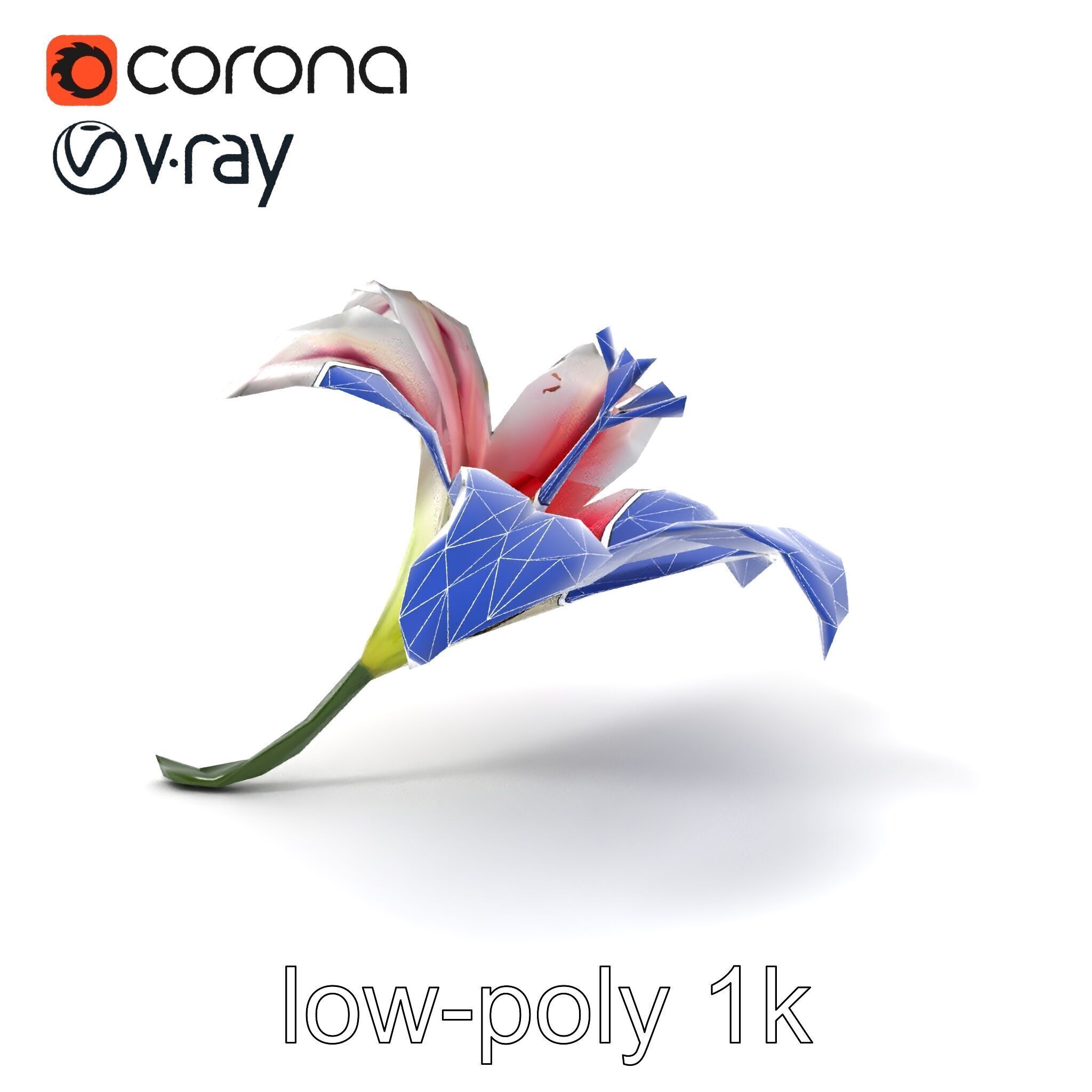 Martagon Lily Floral Model Pack with Intricate Petals Low-poly 3D model_6