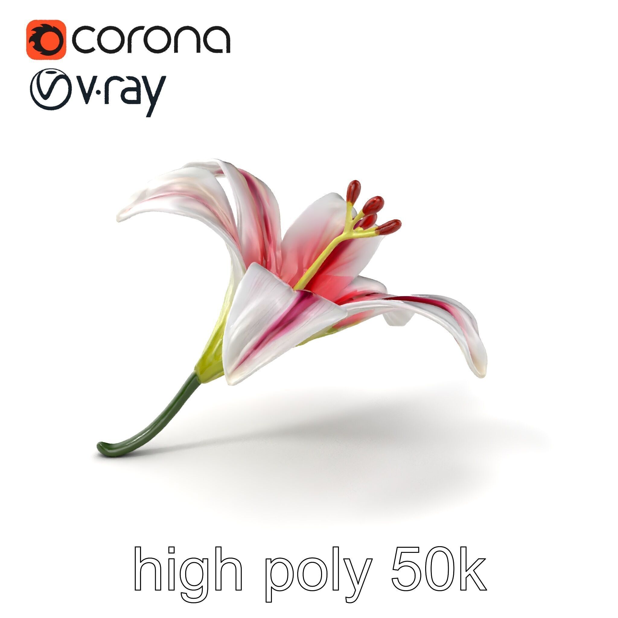 Martagon Lily Floral Model Pack with Intricate Petals Low-poly 3D model_2